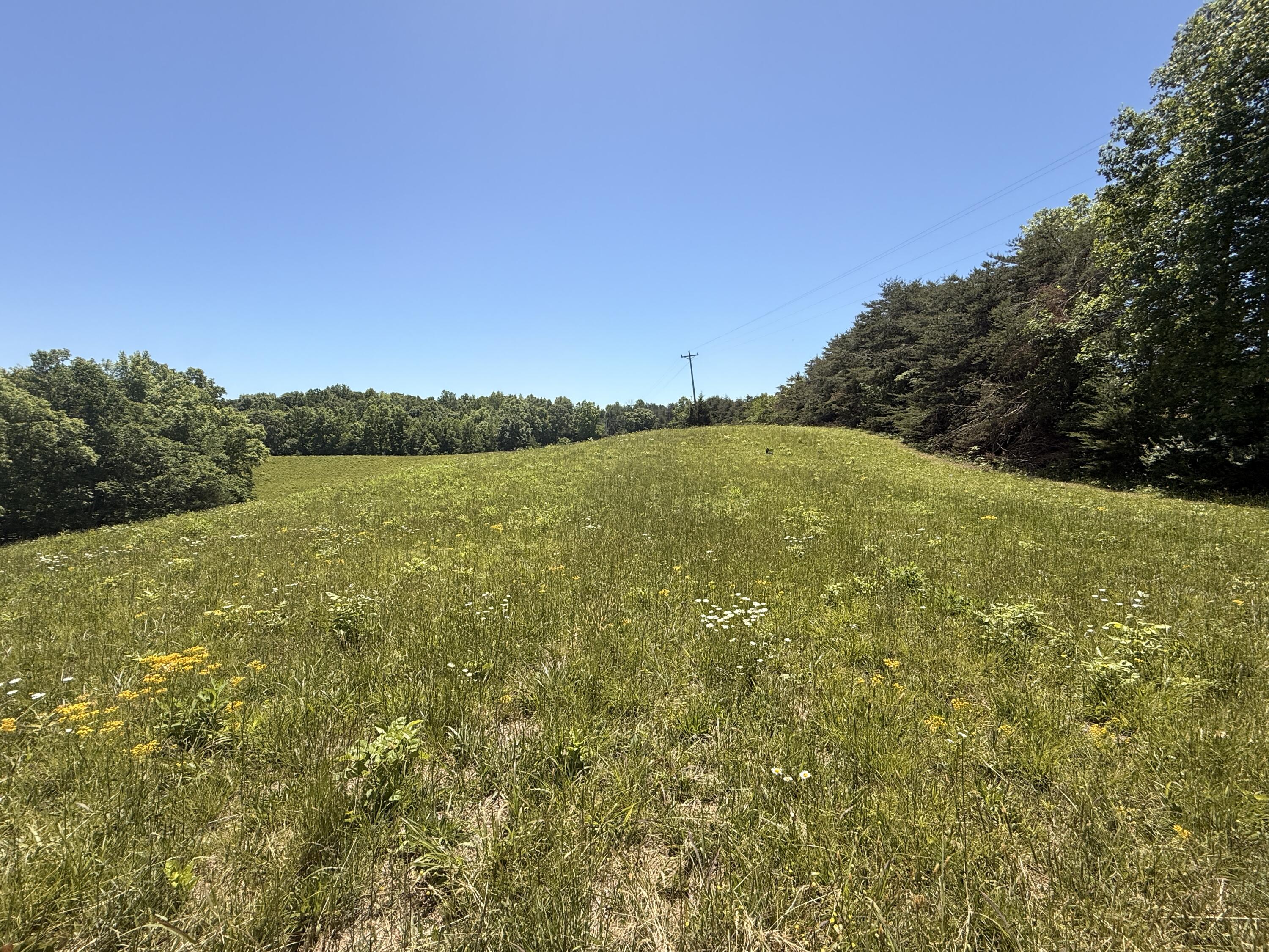 Tract 4 Hwy 196 Property Photo 33