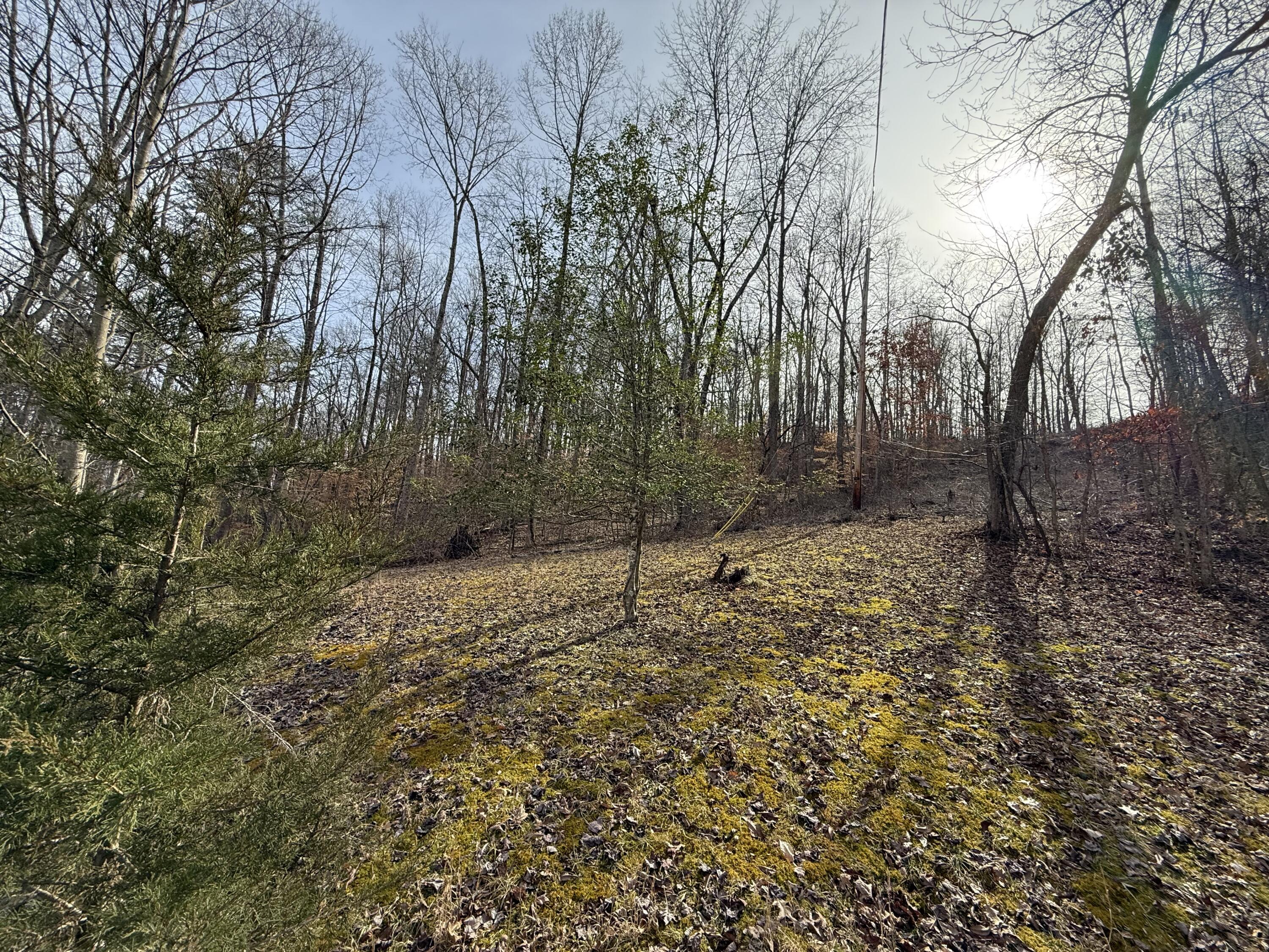265 Smallwood Road Property Photo 6