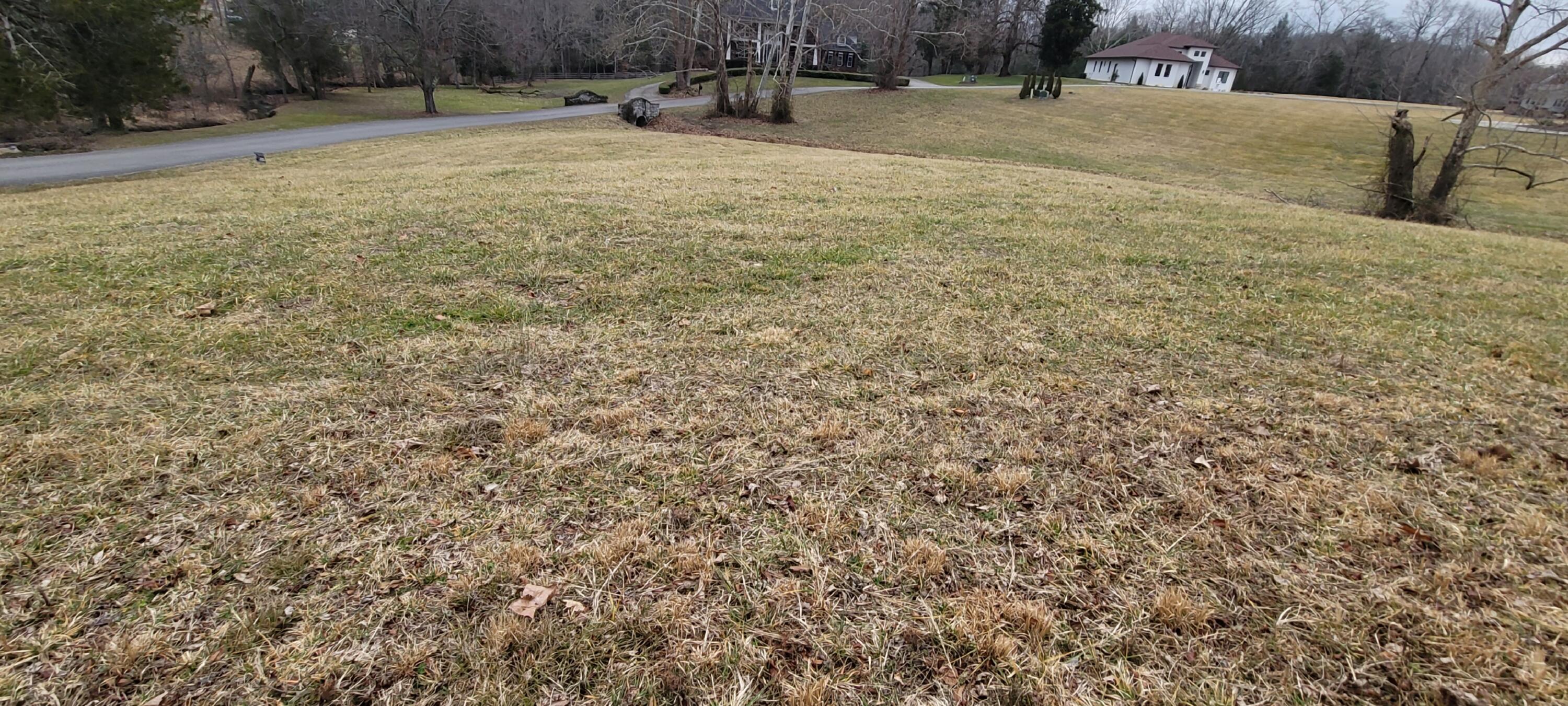 2 Blackberry Lane Property Photo 6