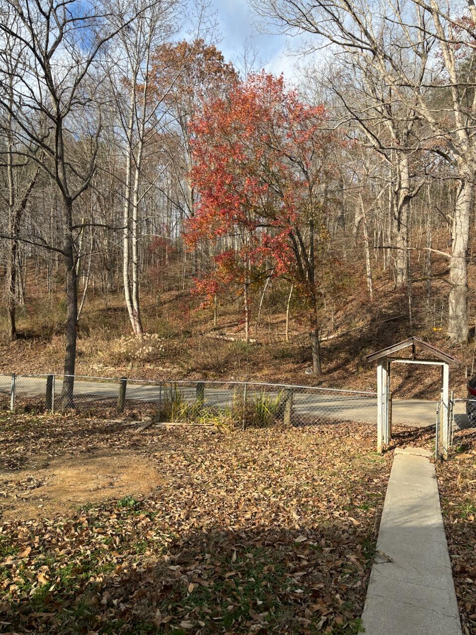 2647 Taylor School Road Property Photo 14