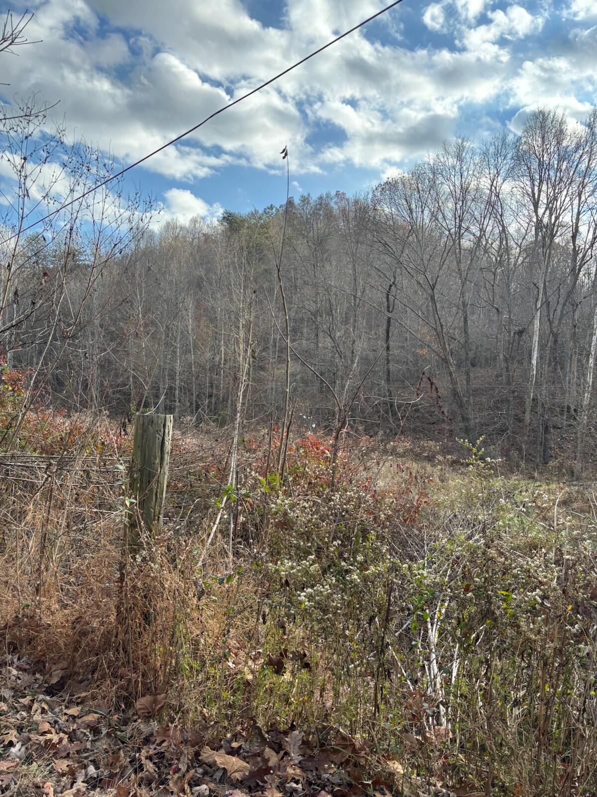 2647 Taylor School Road Property Photo 15