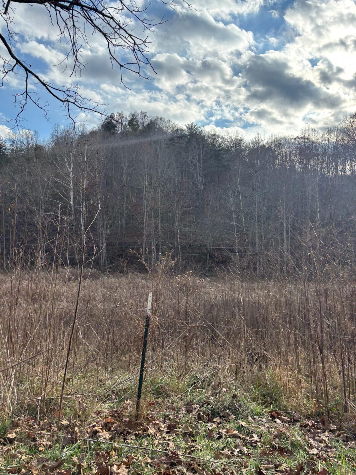 2647 Taylor School Road Property Photo 16