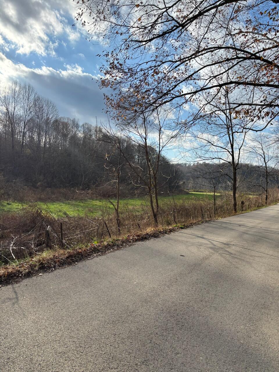 2647 Taylor School Road Property Photo 17