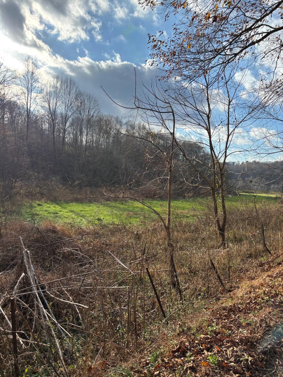 2647 Taylor School Road Property Photo 19