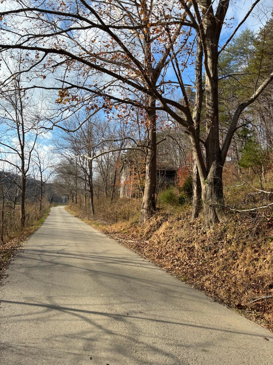 2647 Taylor School Road Property Photo 20