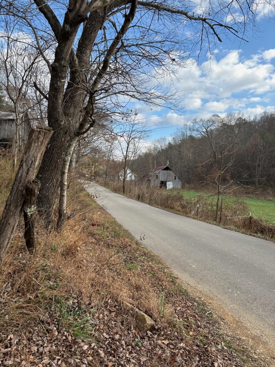 2647 Taylor School Road Property Photo 22
