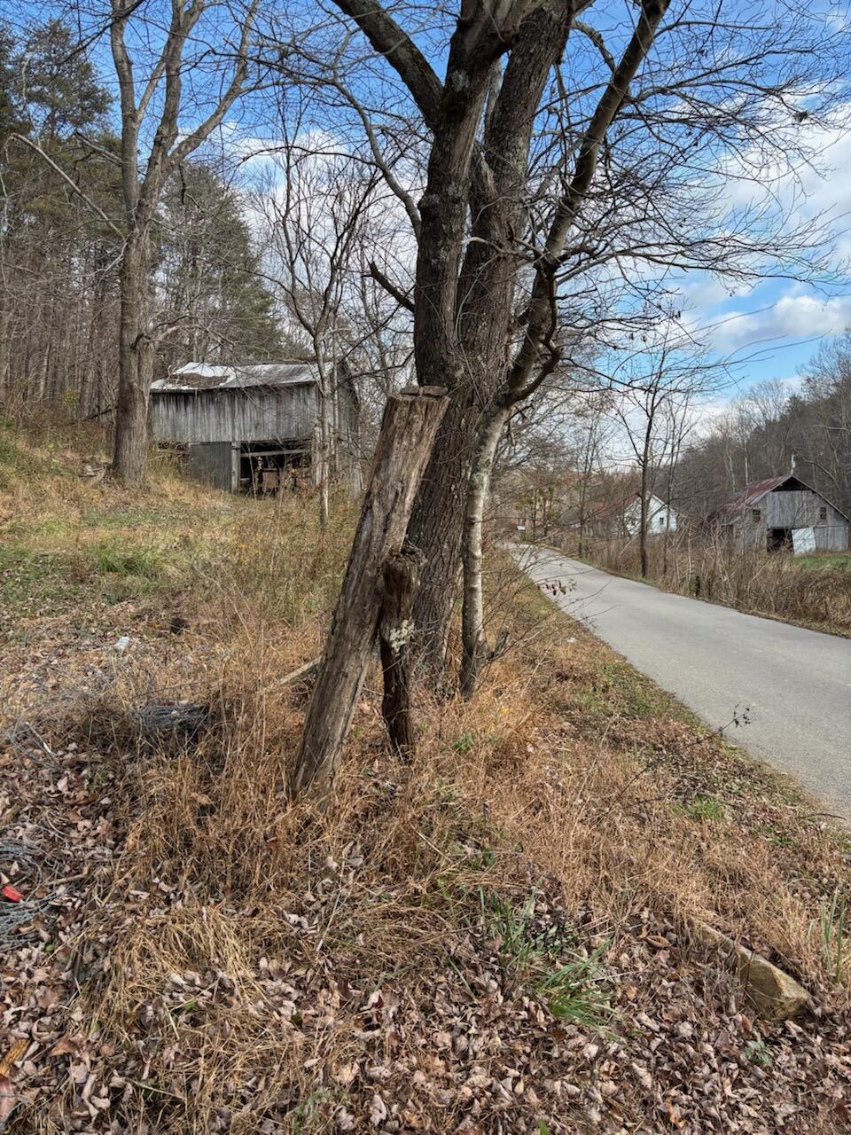 2647 Taylor School Road Property Photo 23