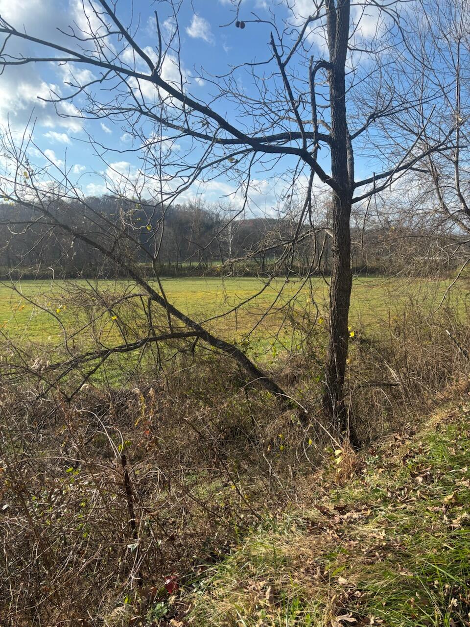 2647 Taylor School Road Property Photo 25