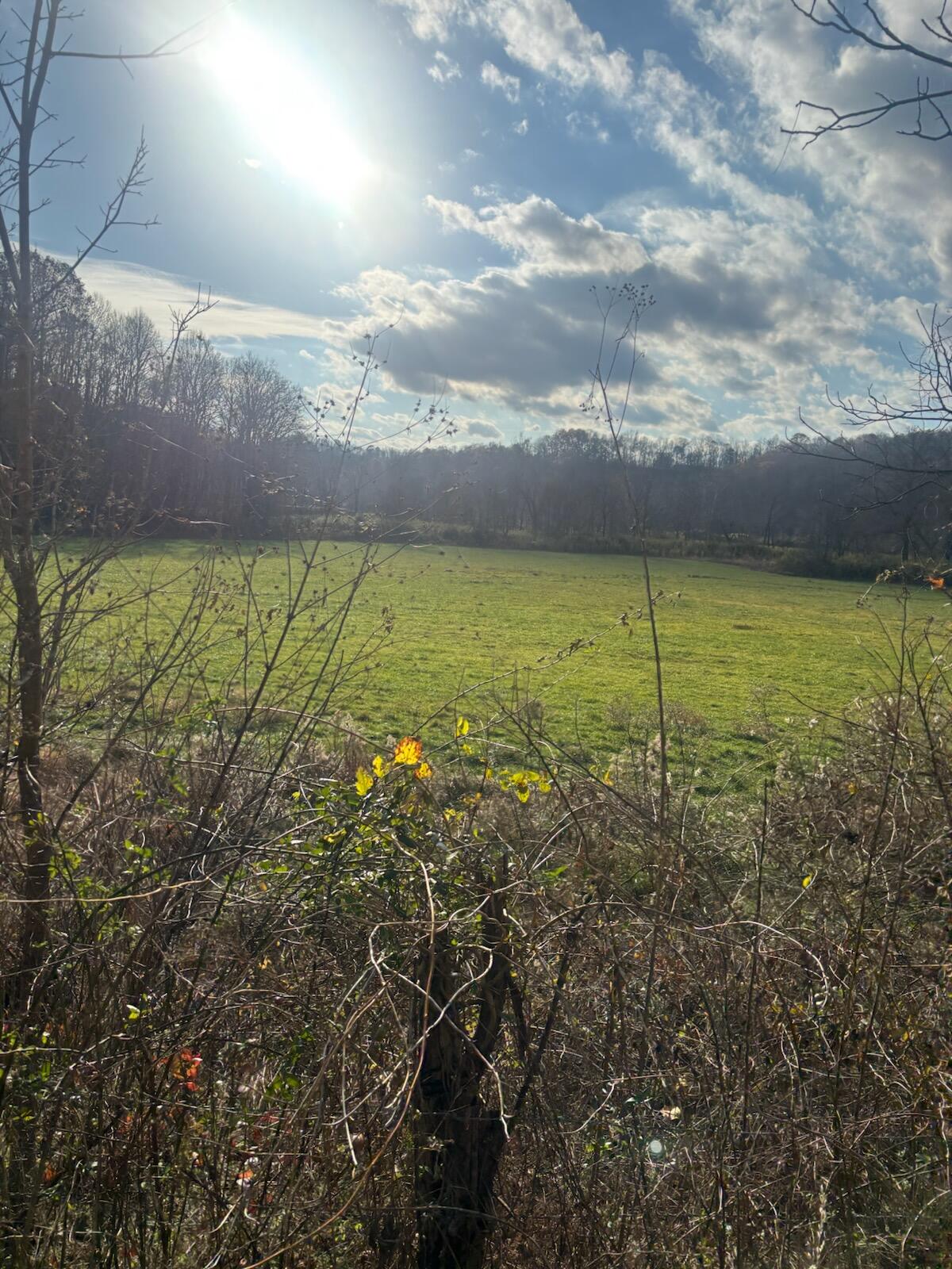 2647 Taylor School Road Property Photo 26
