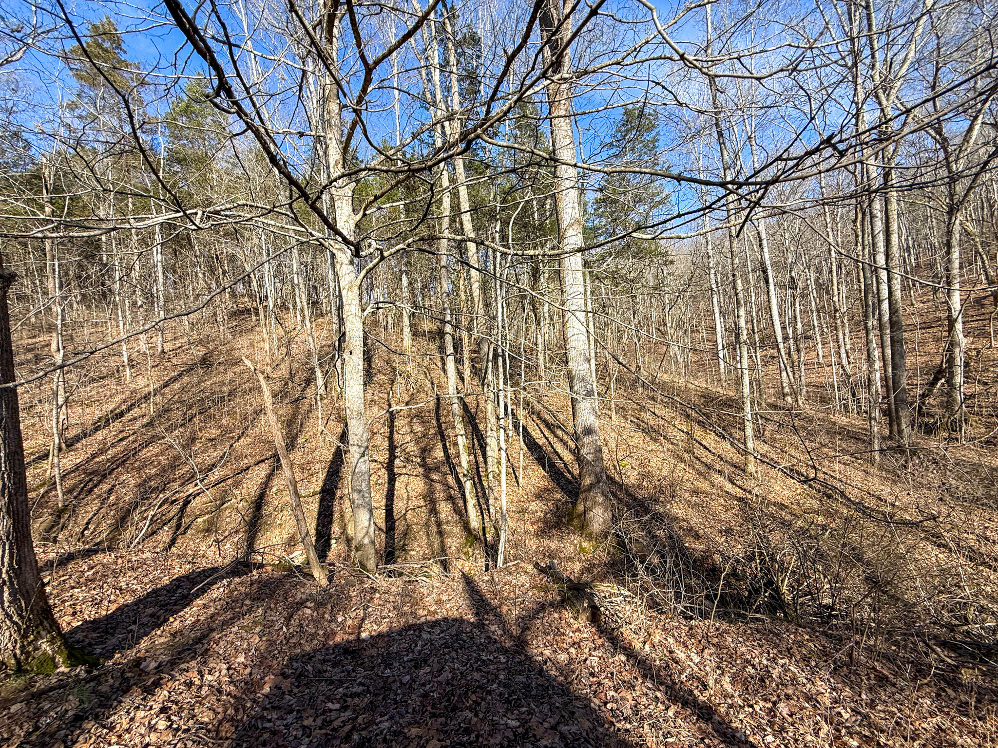 248 Sulphur Lick Road Property Photo 12
