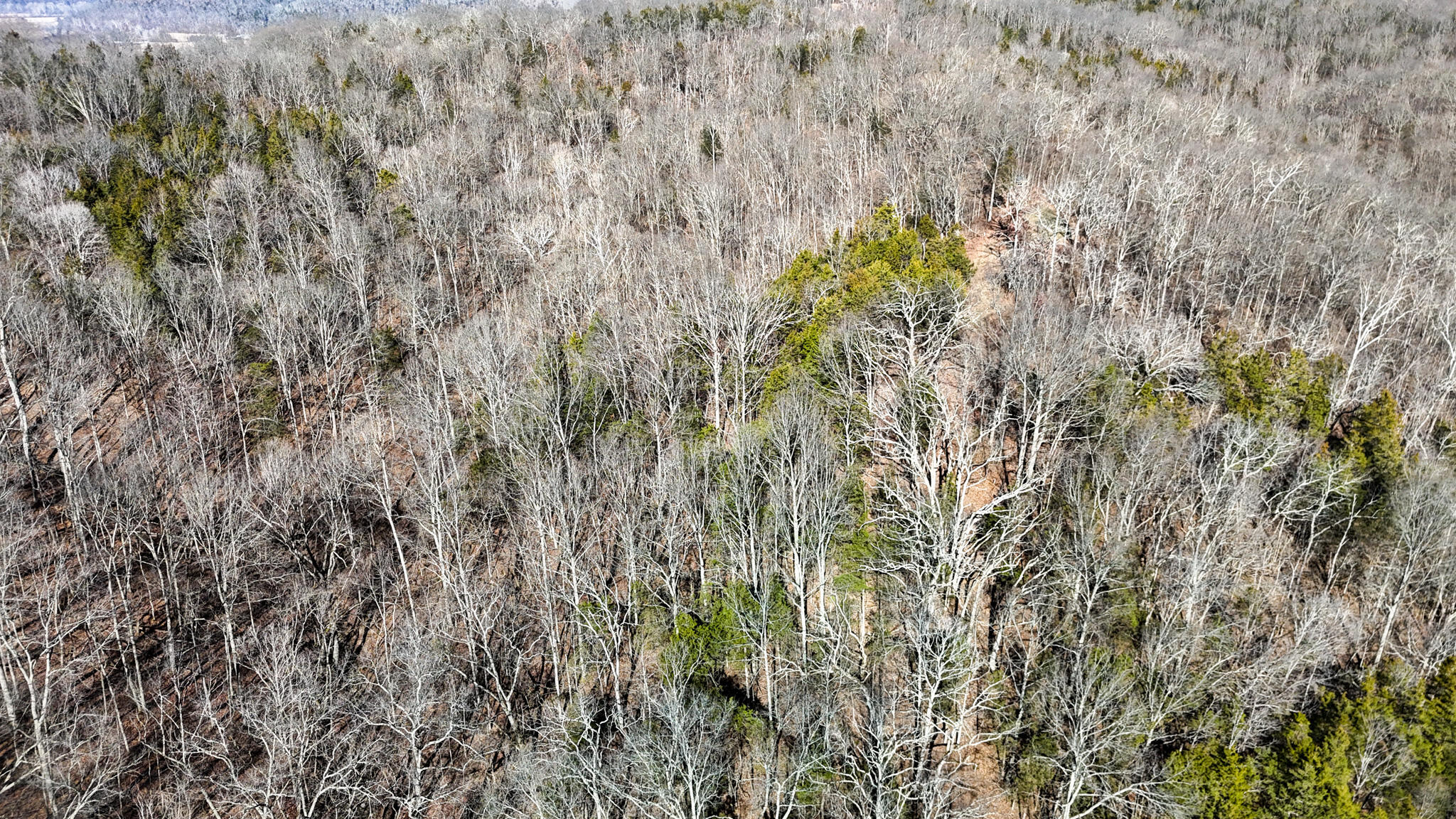 248 Sulphur Lick Road Property Photo 46