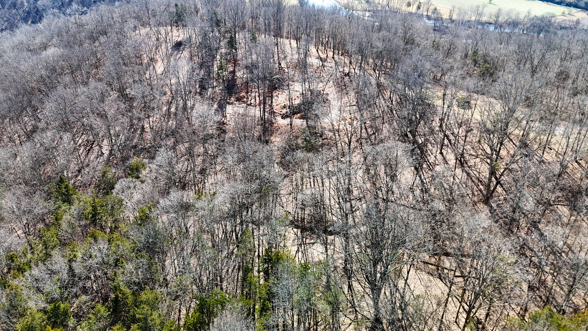248 Sulphur Lick Road Property Photo 49