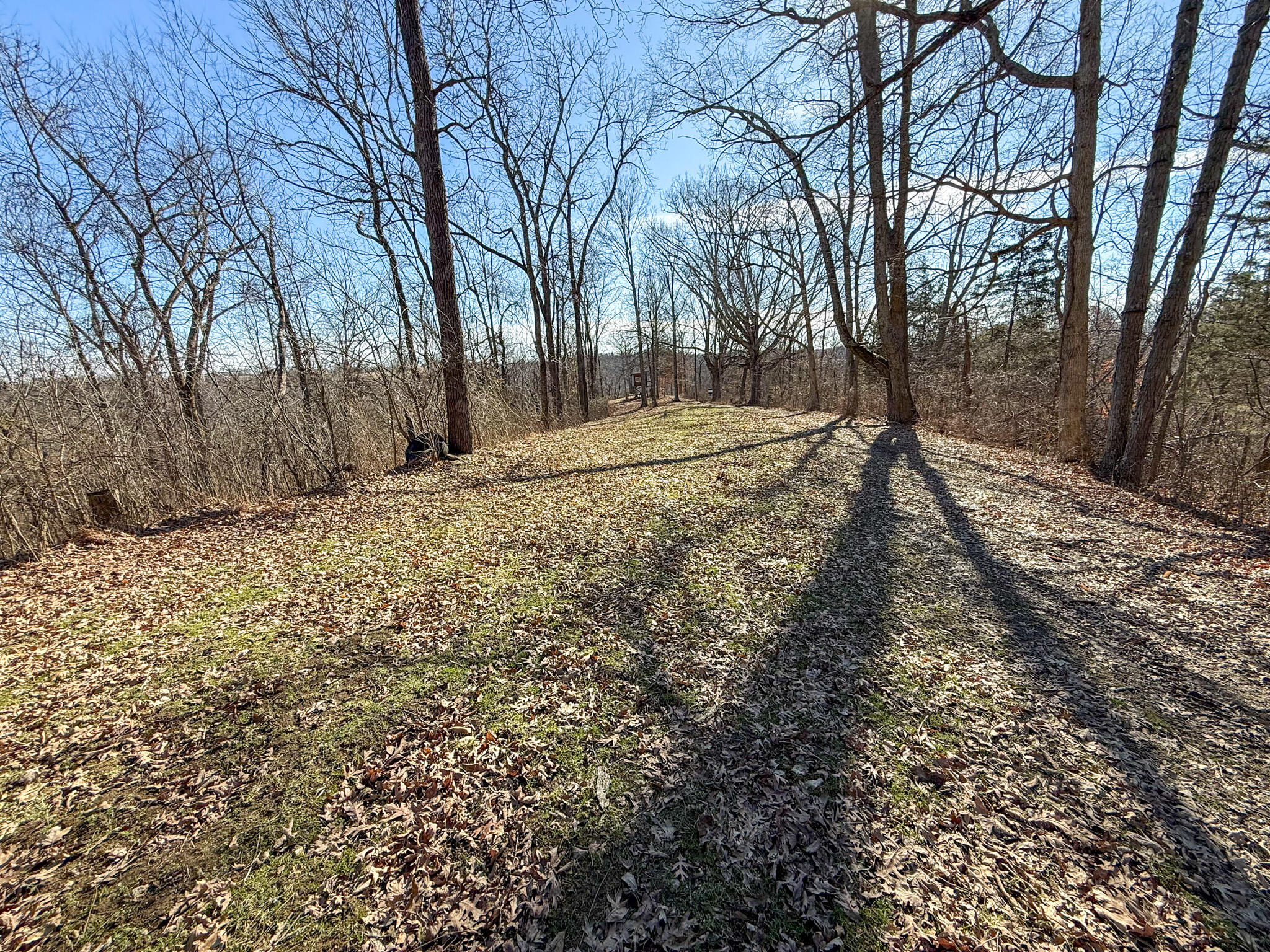 248 Sulphur Lick Road Property Photo 60