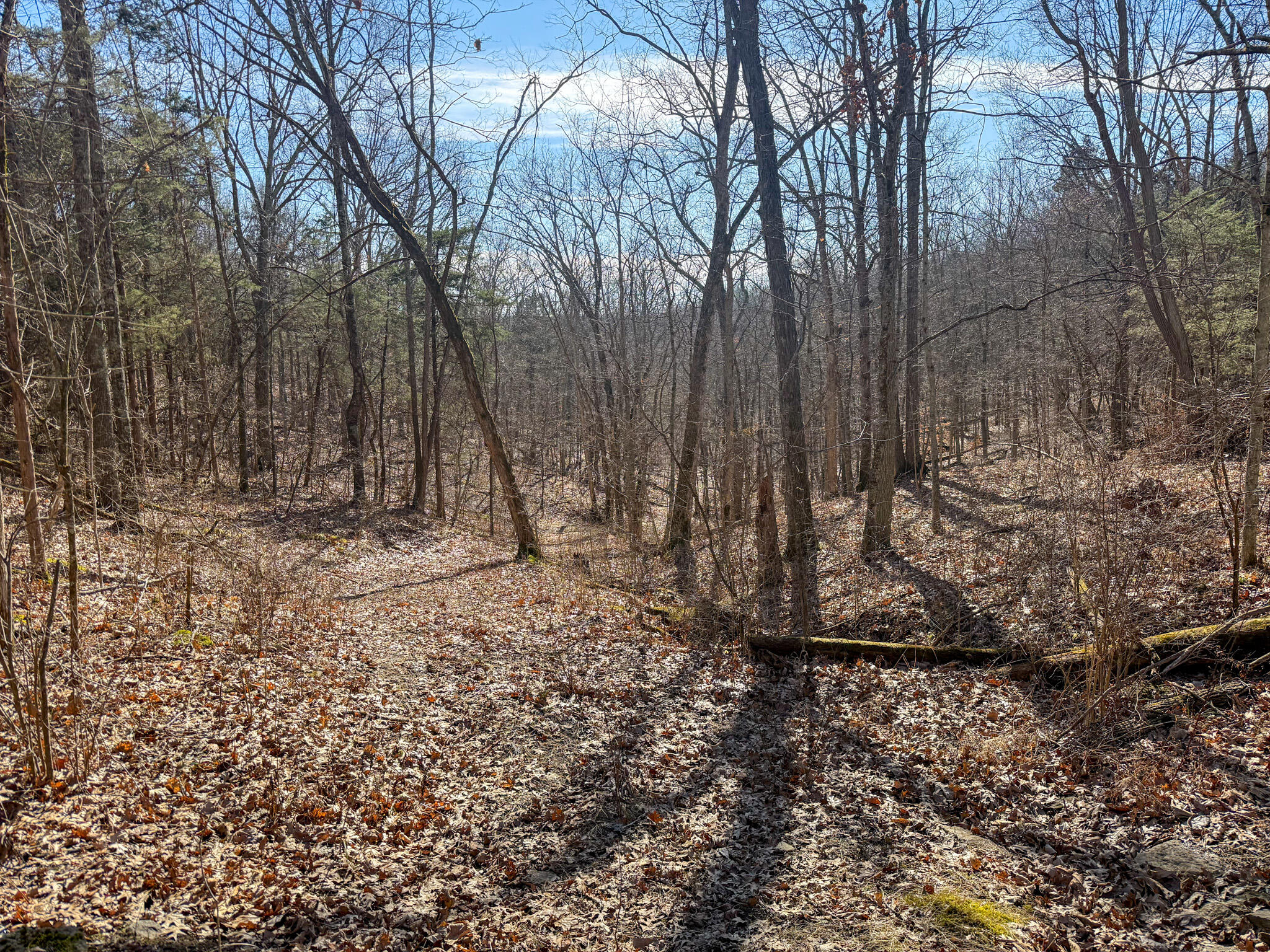 248 Sulphur Lick Road Property Photo 64
