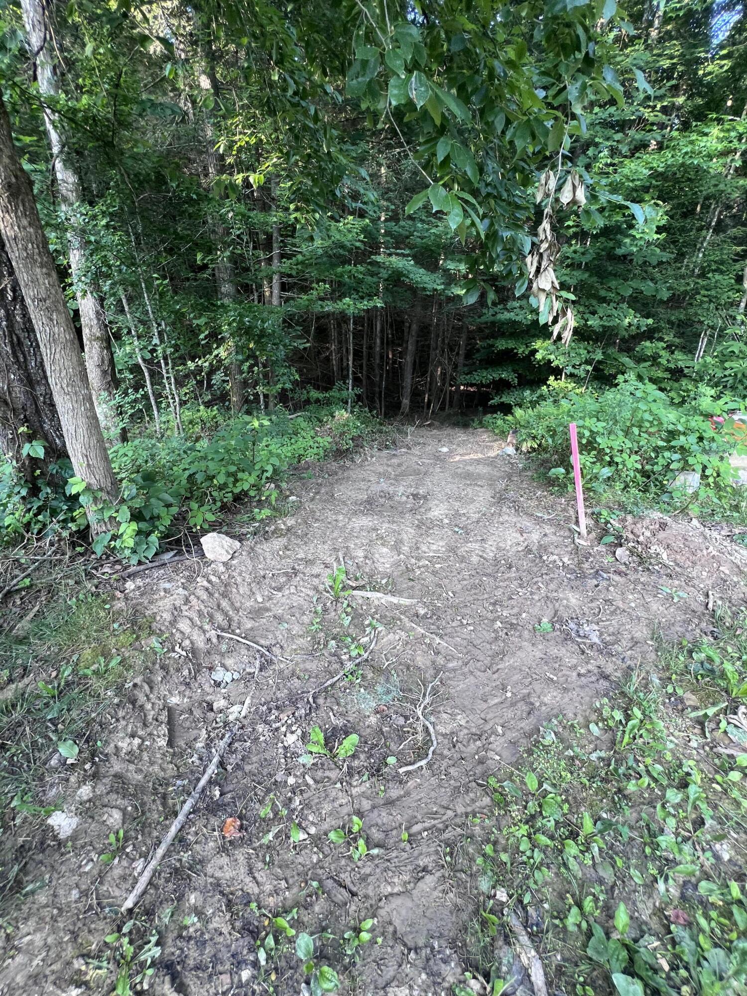 149 Buggs Lane Property Photo 35