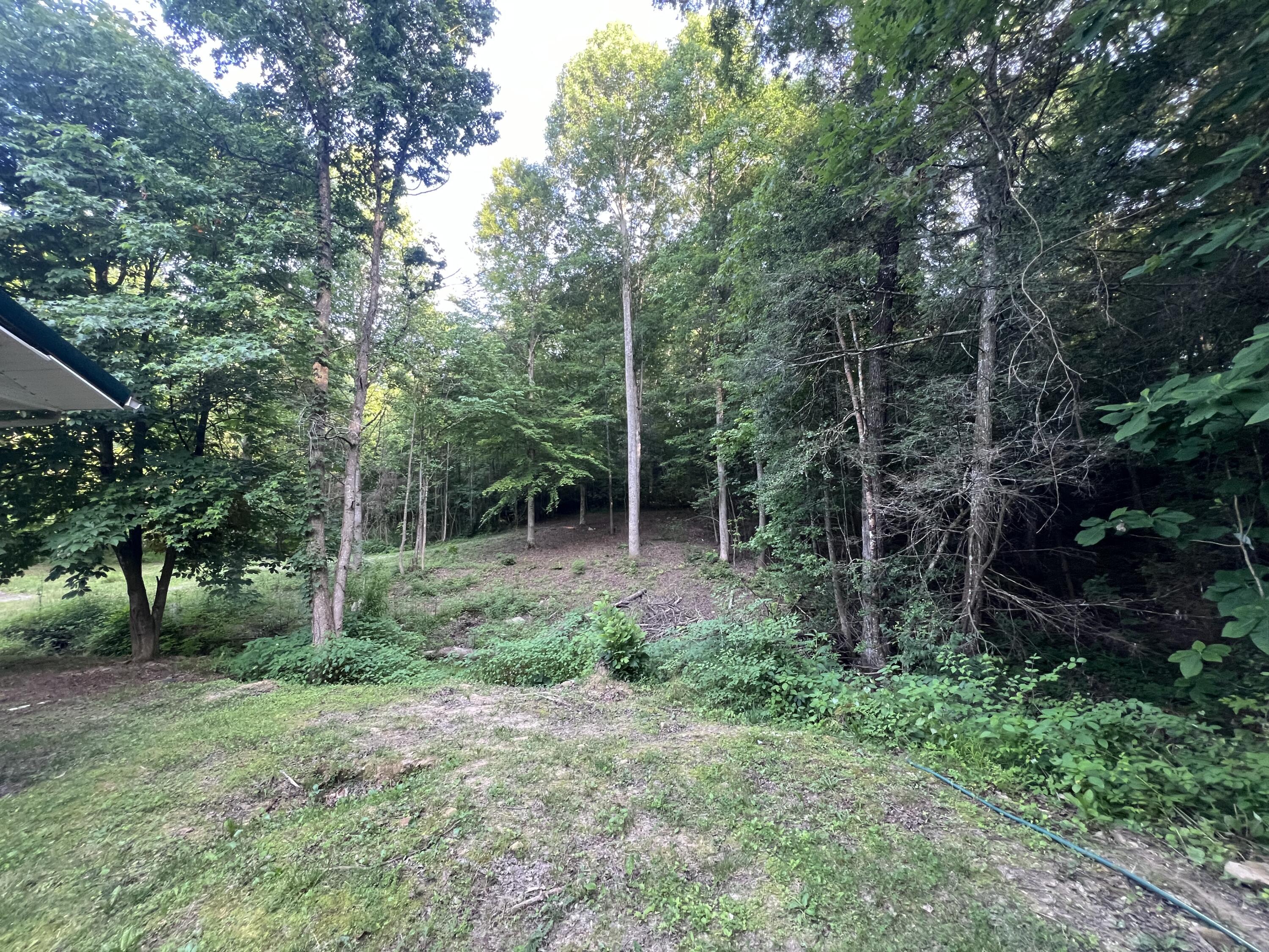 149 Buggs Lane Property Photo 36