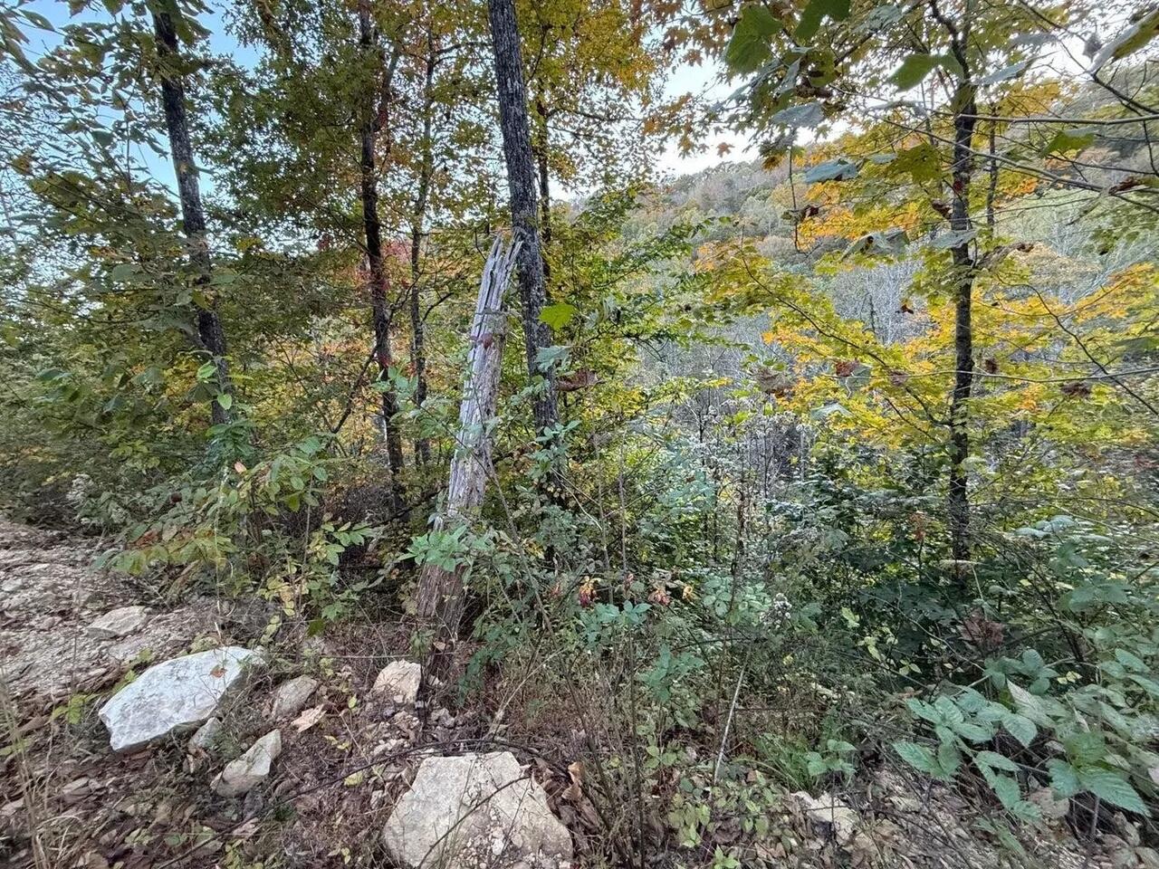 30 Highway 89 Property Photo 1