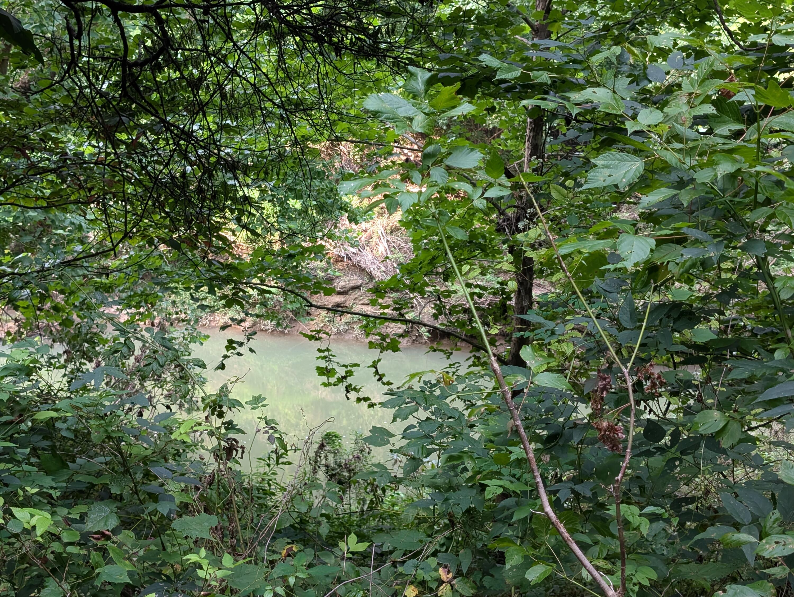 30 Highway 89 Property Photo 4