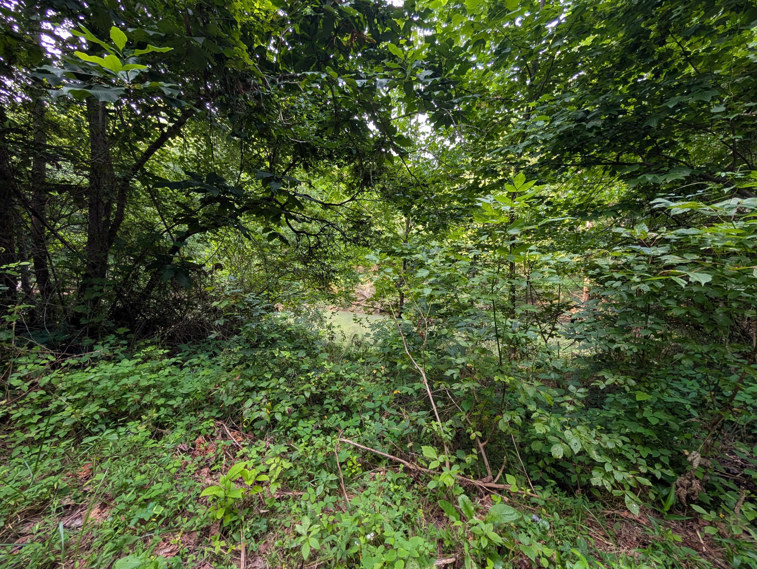 30 Highway 89 Property Photo 5