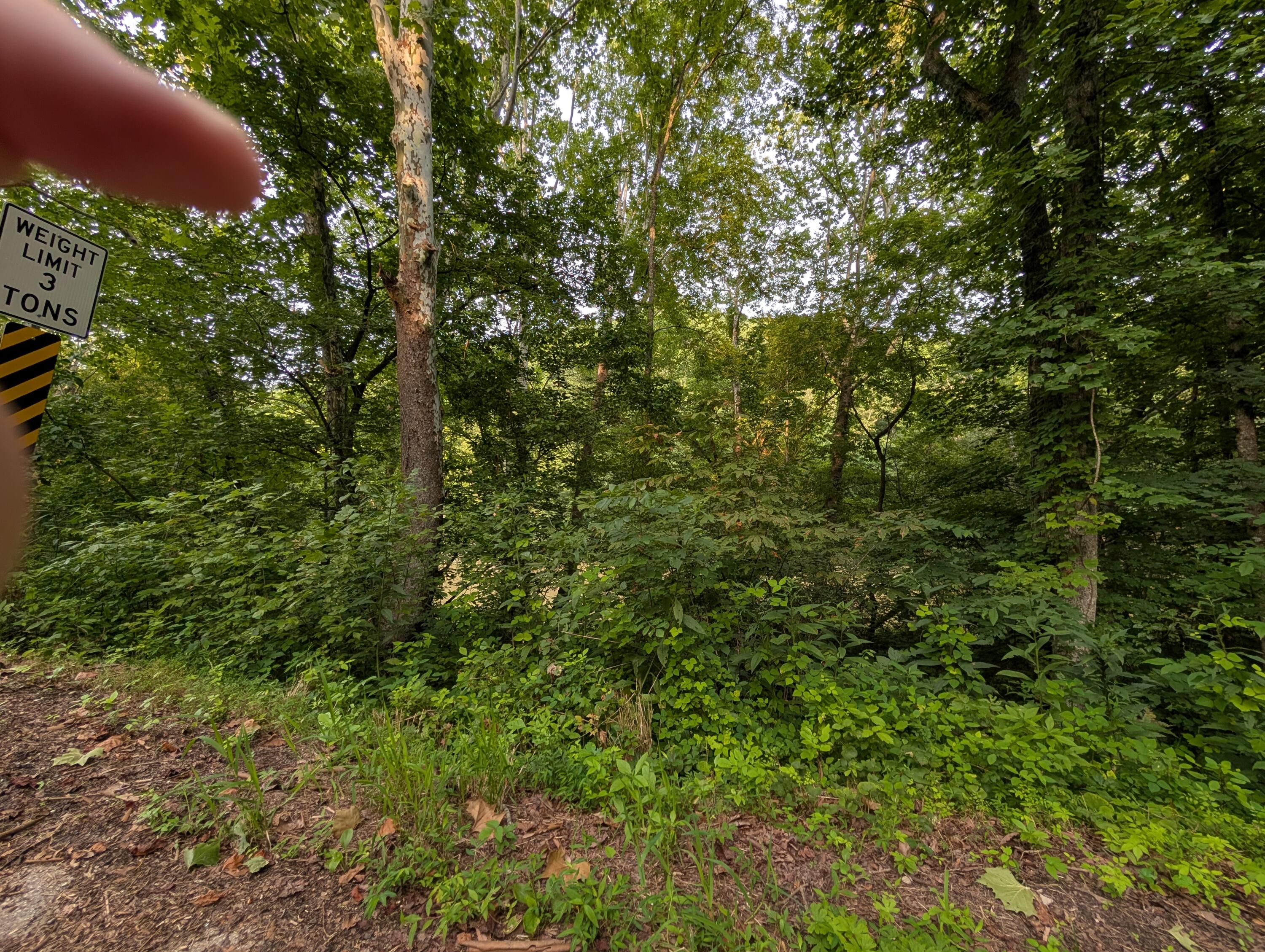30 Highway 89 Property Photo 6