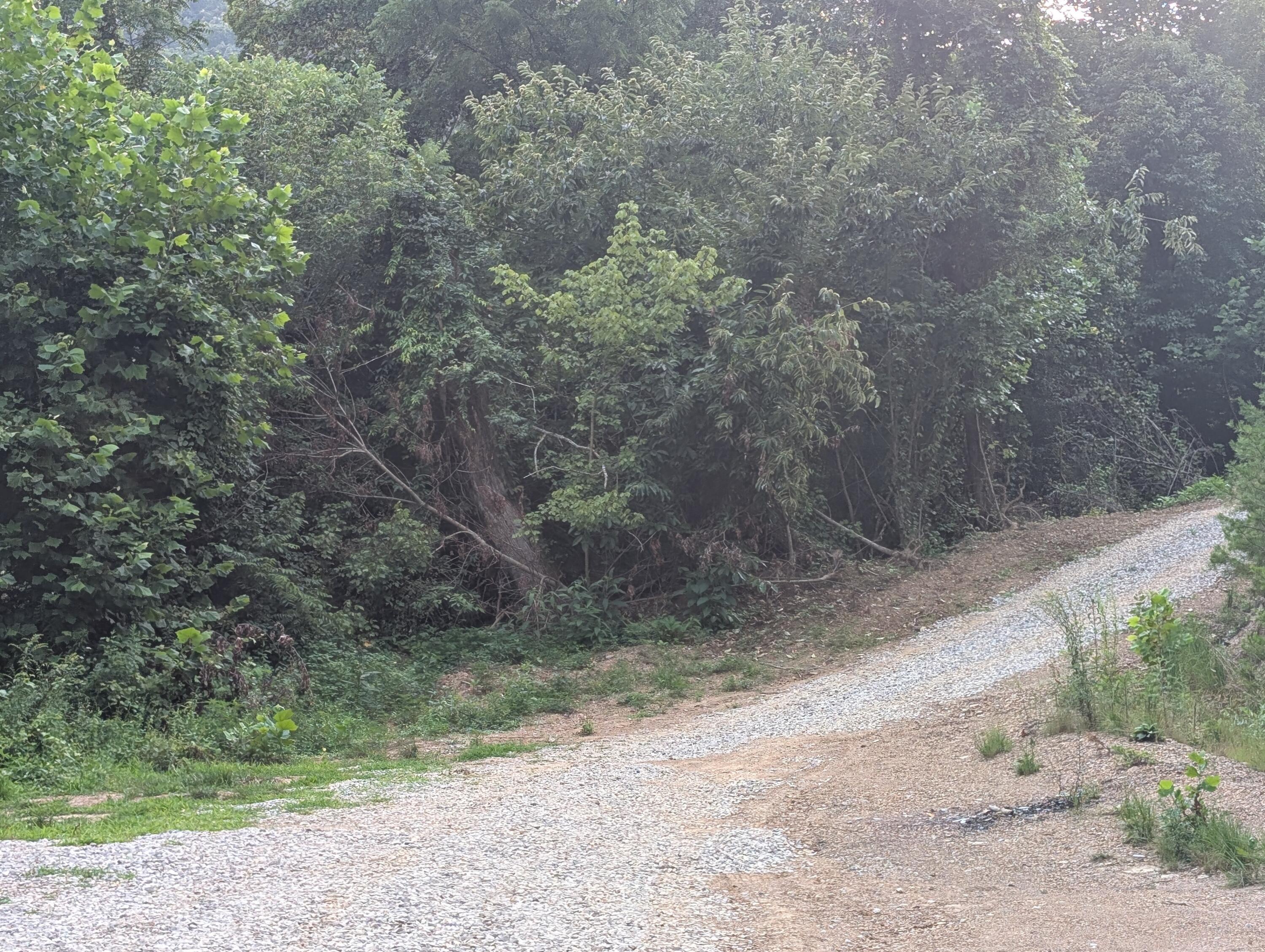 30 Highway 89 Property Photo 7
