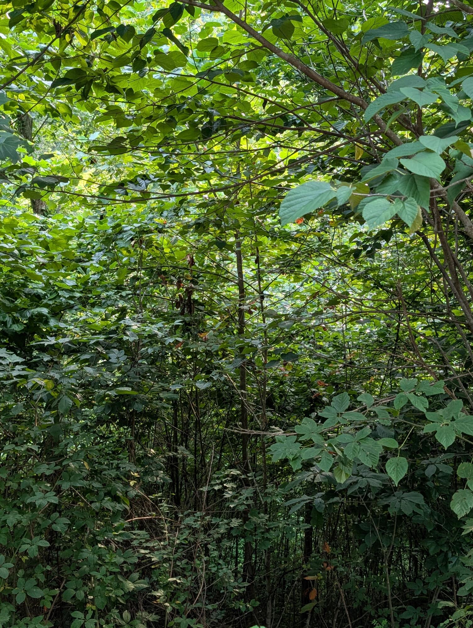 30 Highway 89 Property Photo 10