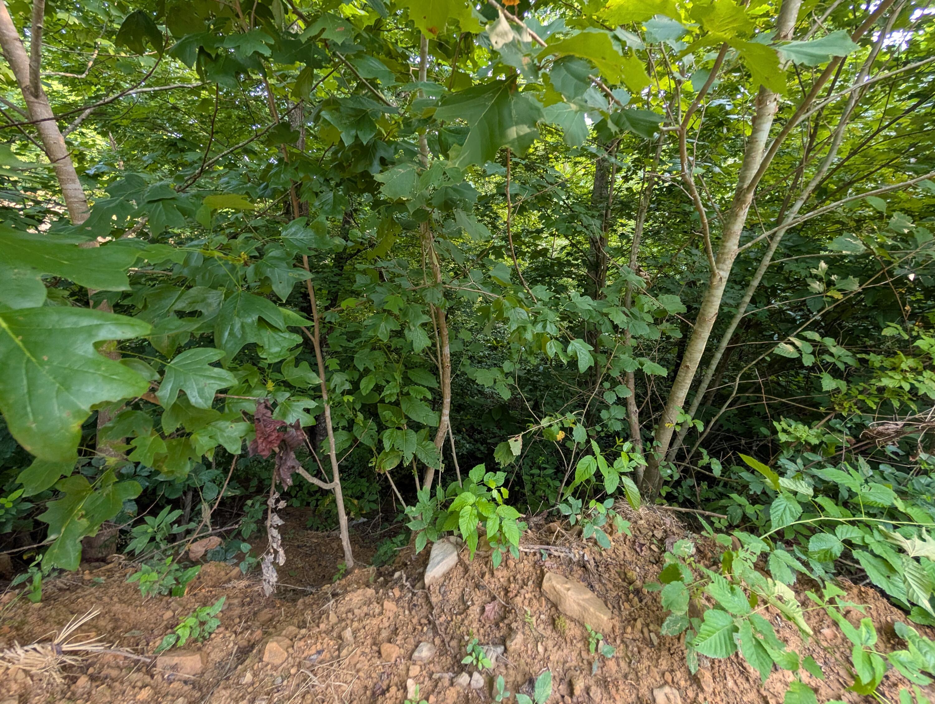 30 Highway 89 Property Photo 11