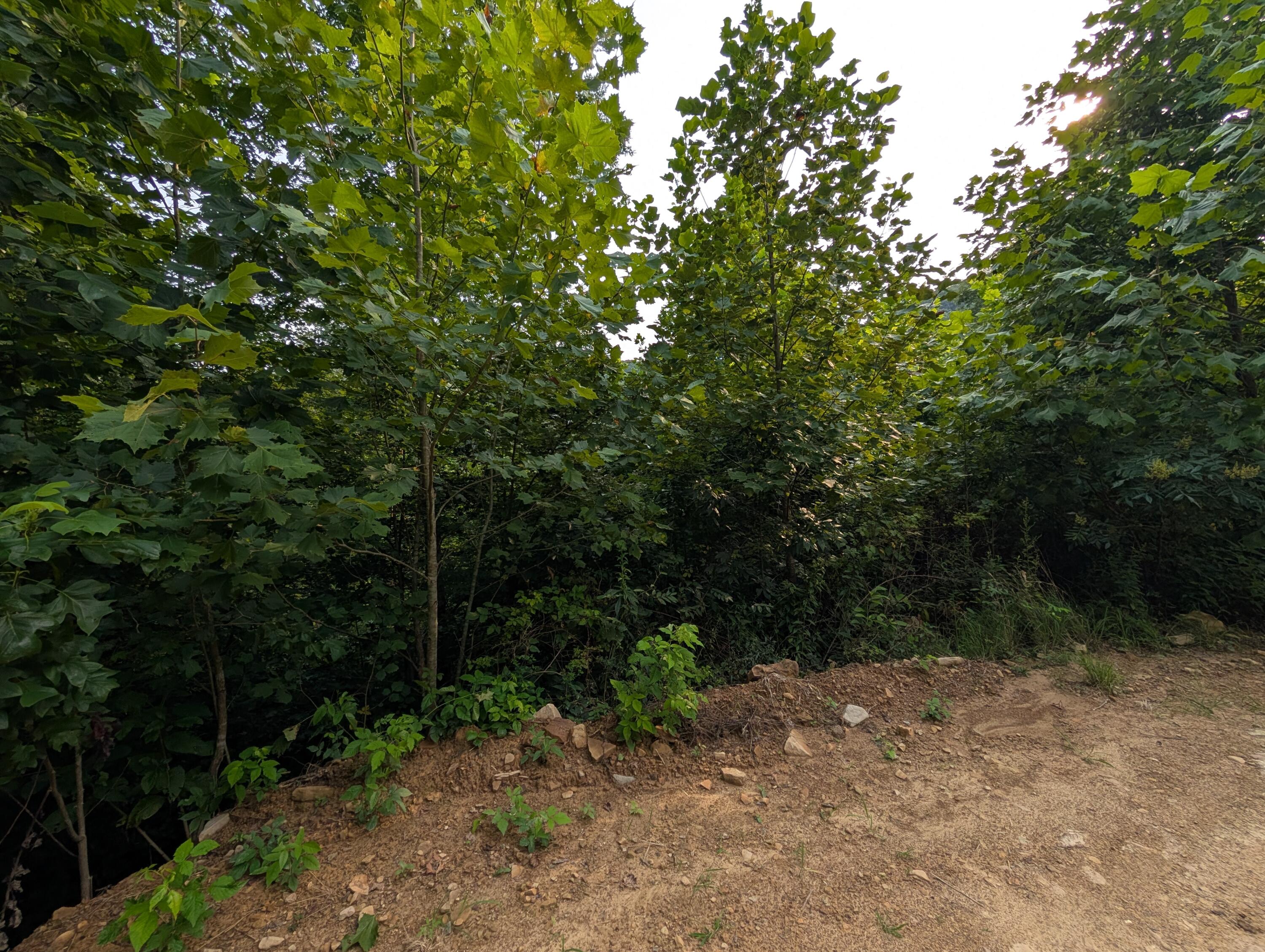 30 Highway 89 Property Photo 13