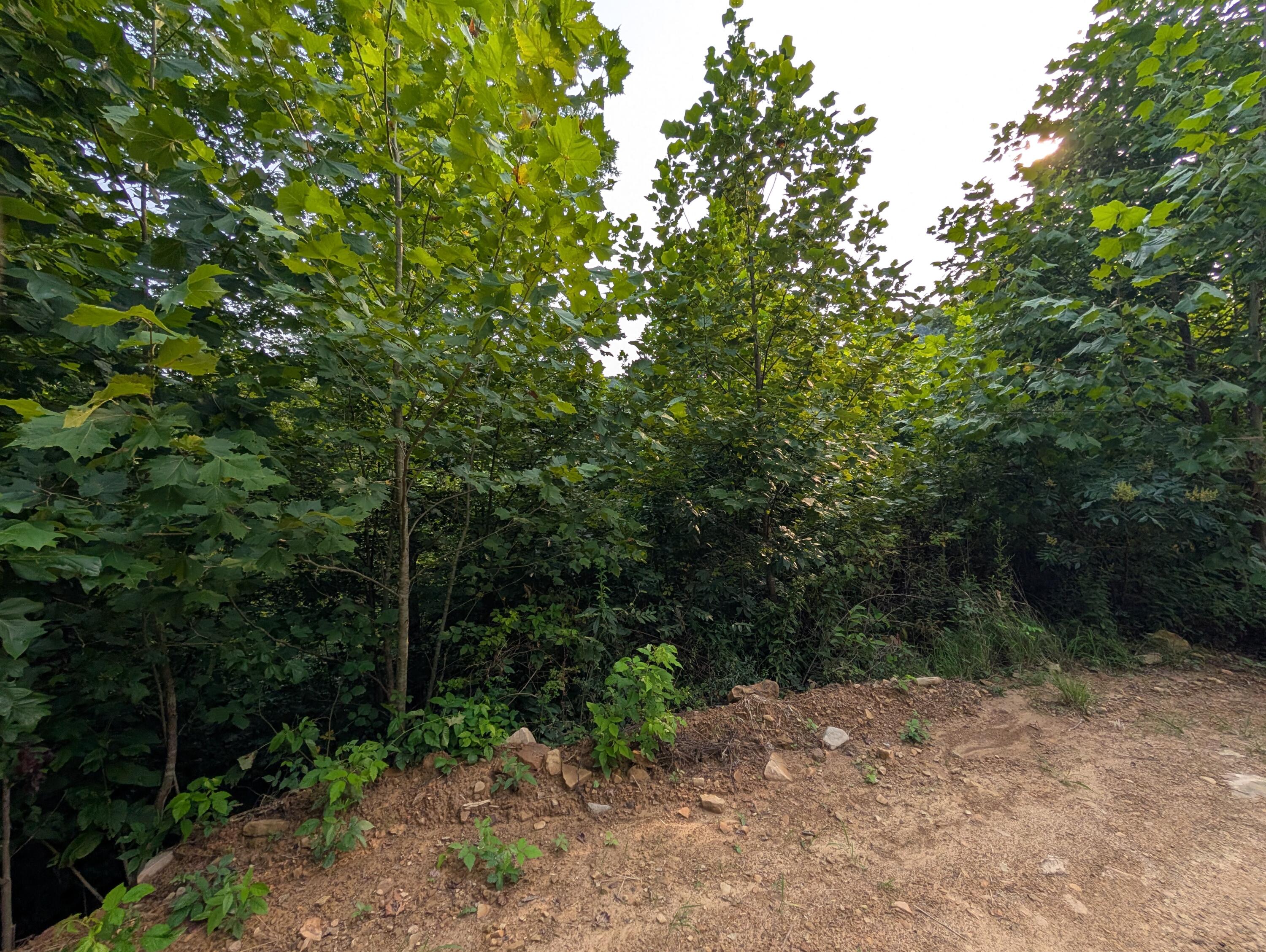 30 Highway 89 Property Photo 14