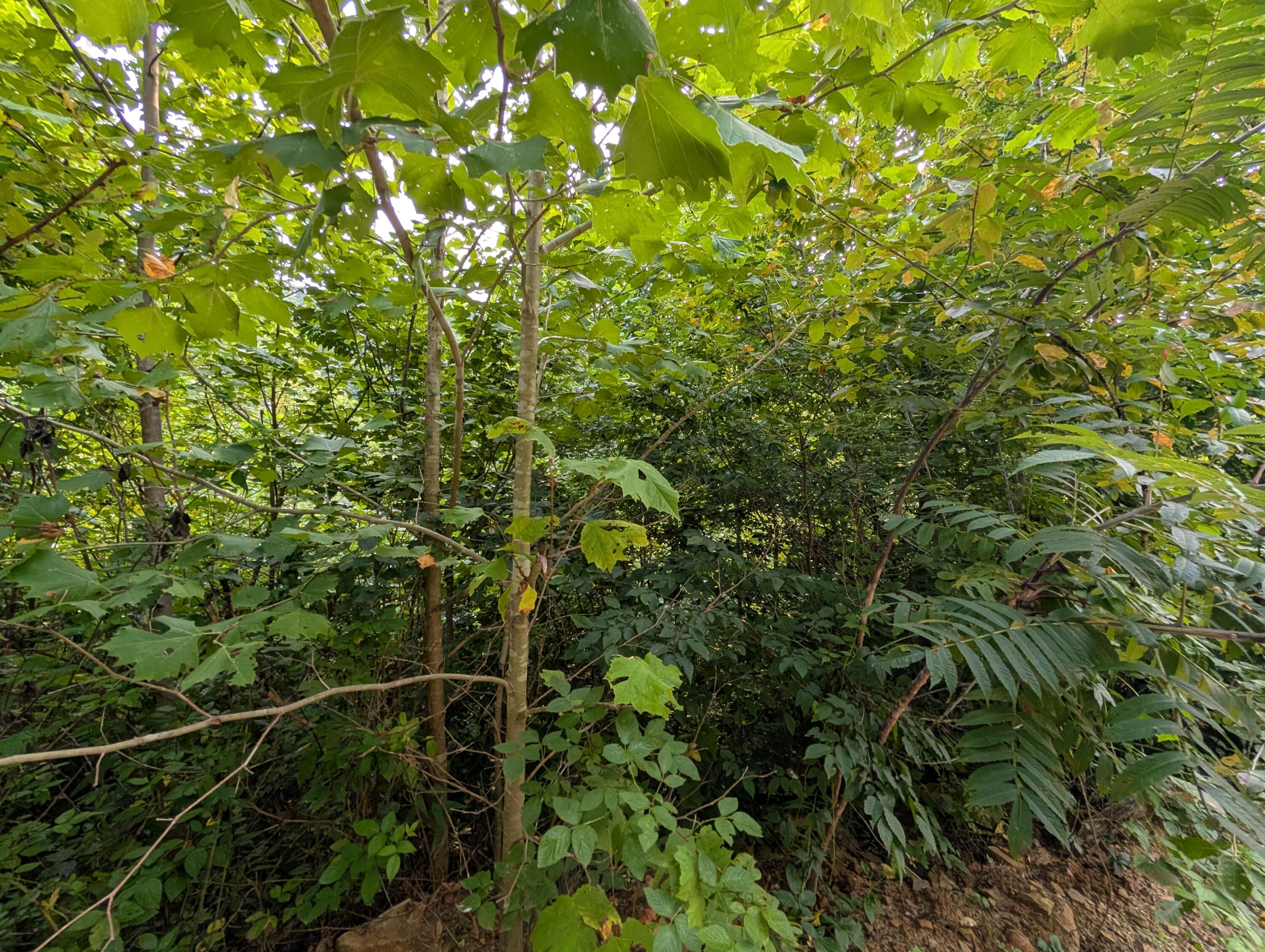 30 Highway 89 Property Photo 15