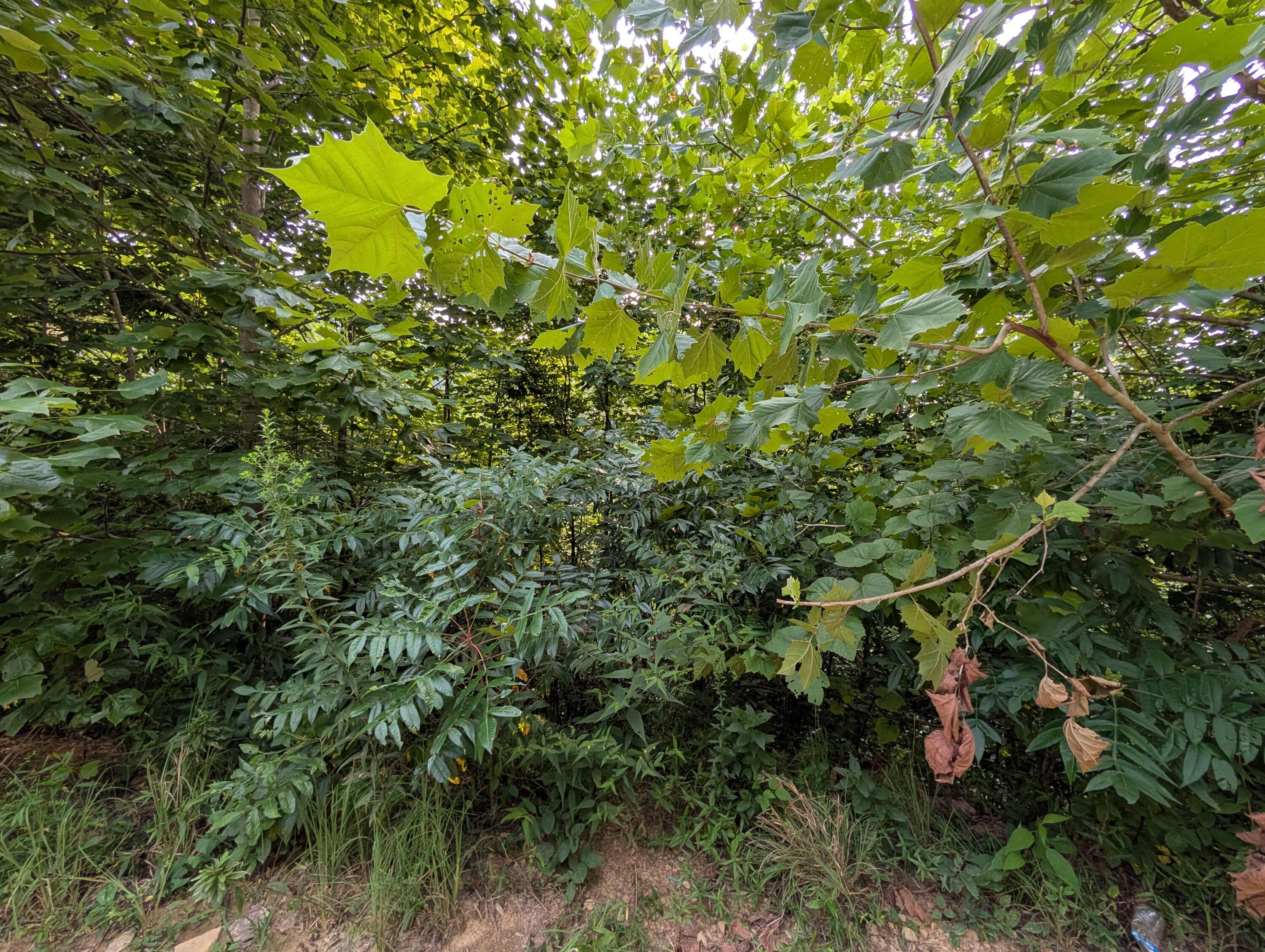 30 Highway 89 Property Photo 16