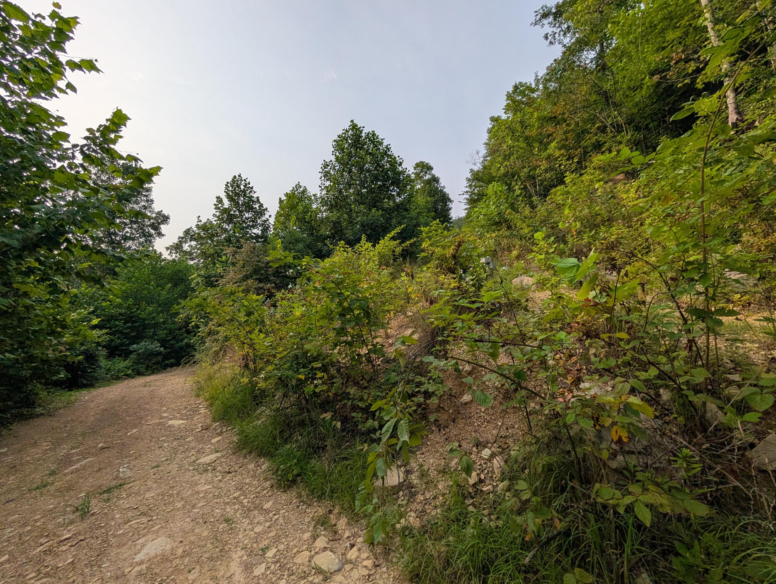 30 Highway 89 Property Photo 22