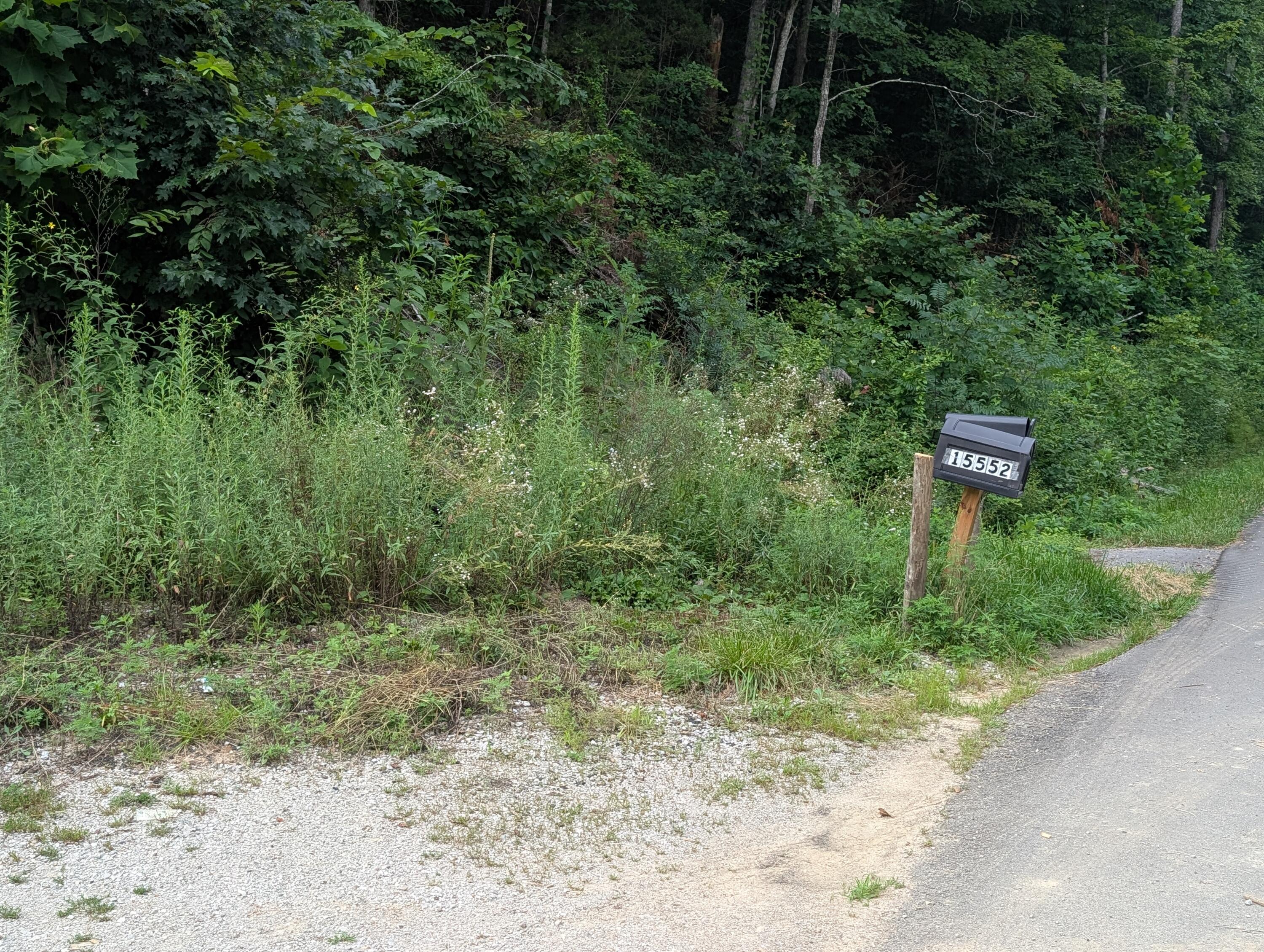 30 Highway 89 Property Photo 23
