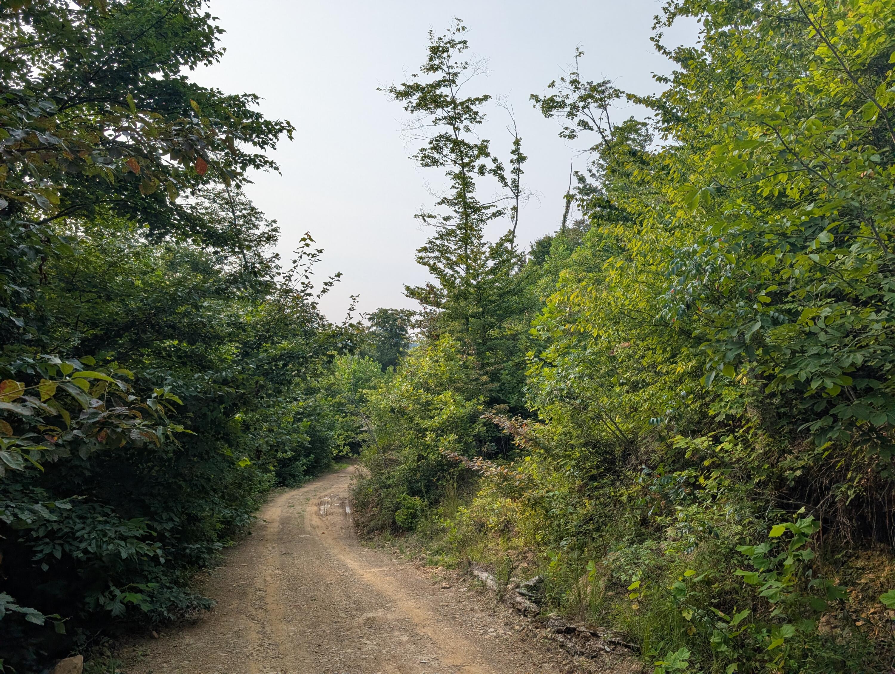 30 Highway 89 Property Photo 24