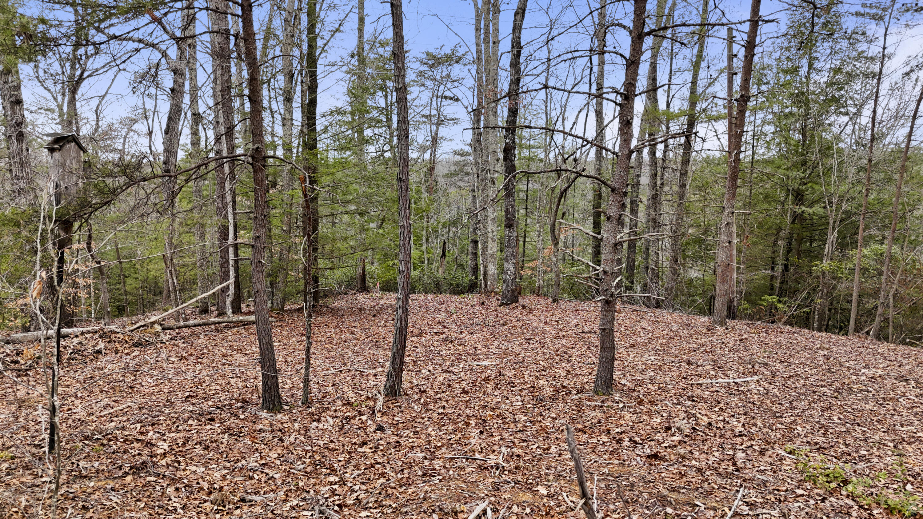 235 Eureka Road Property Photo 1
