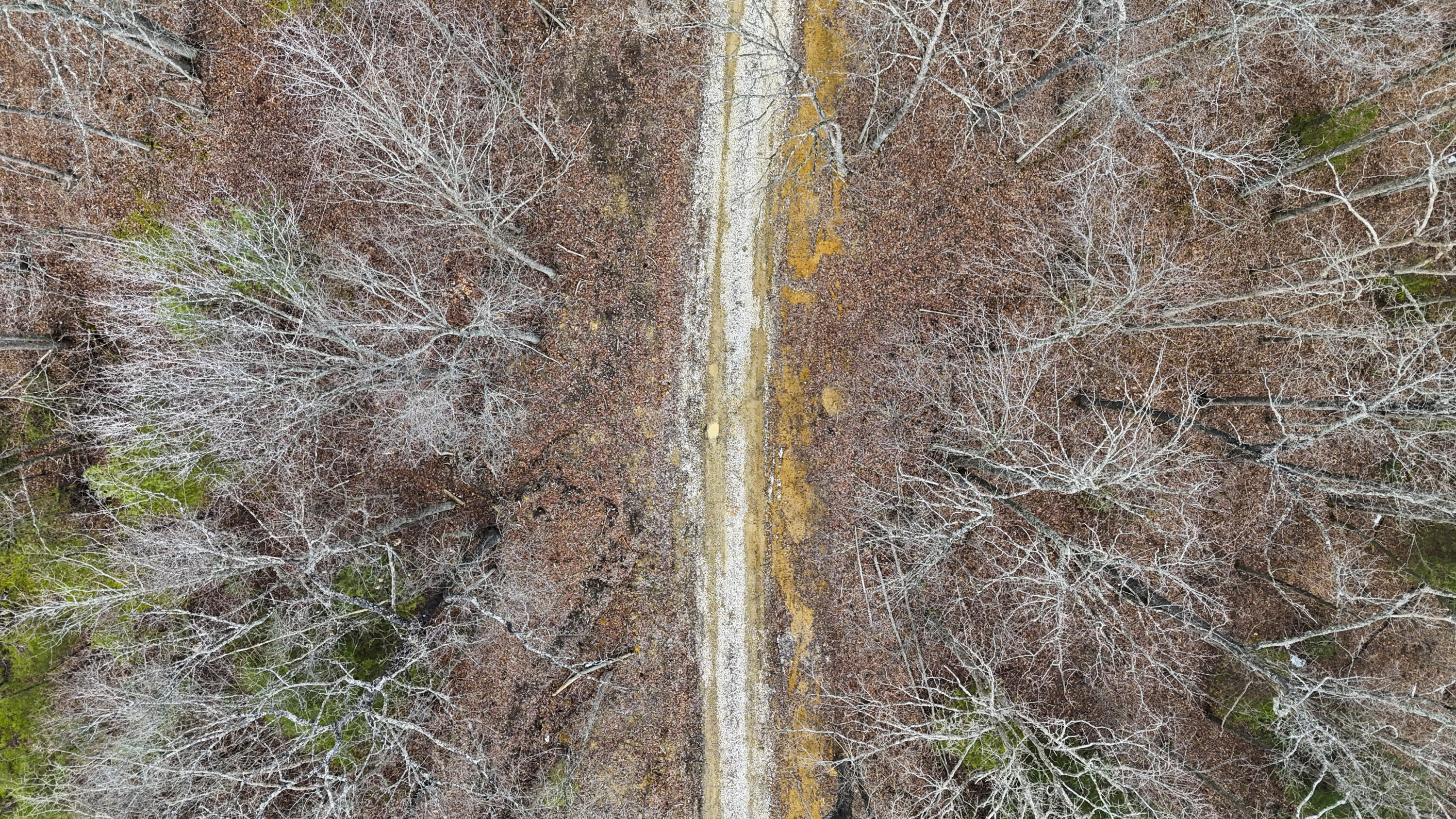 235 Eureka Road Property Photo 8