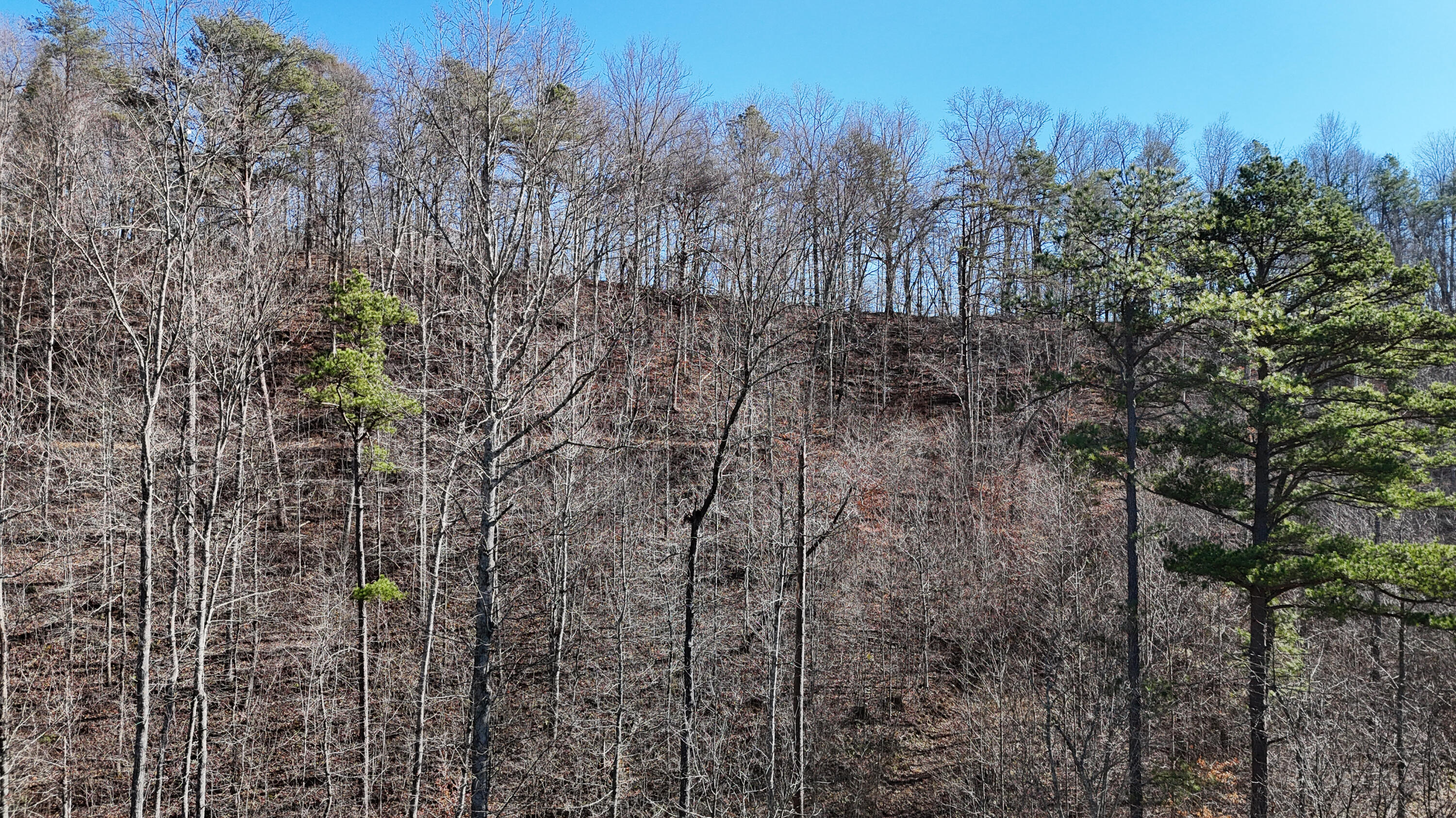 408 Hwy. 421 Property Photo 73