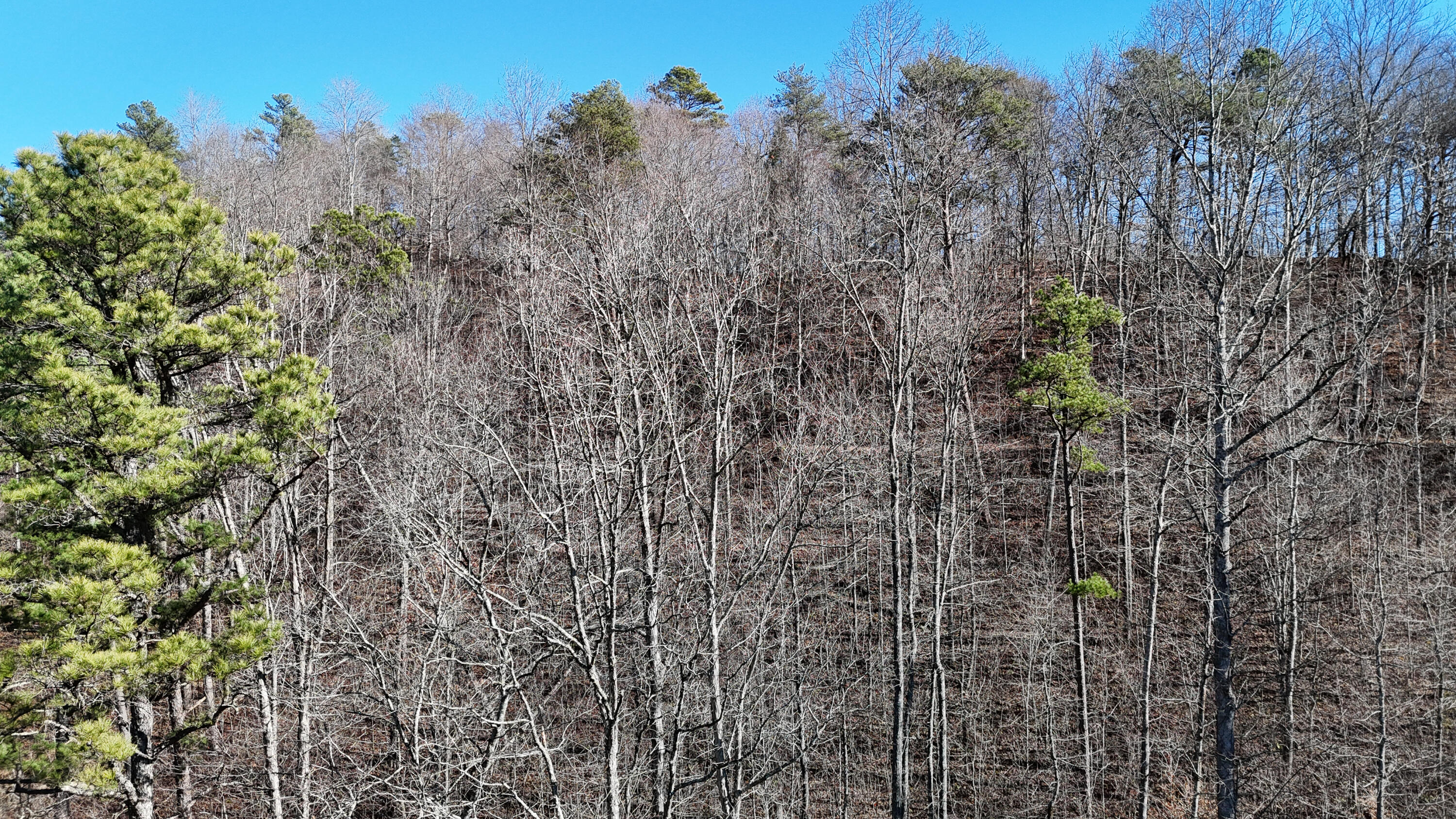 408 Hwy. 421 Property Photo 74