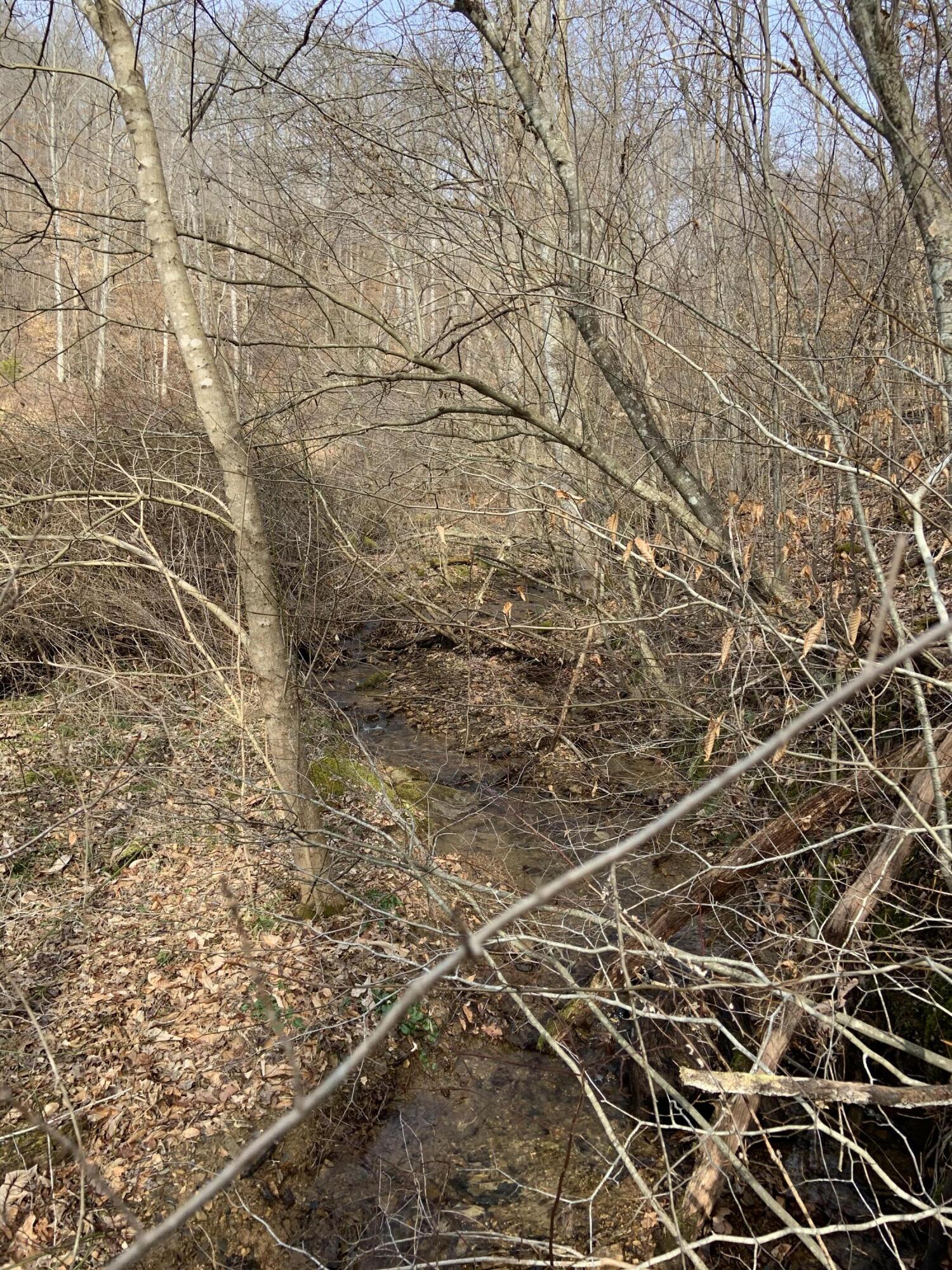 408 Hwy. 421 Property Photo 76