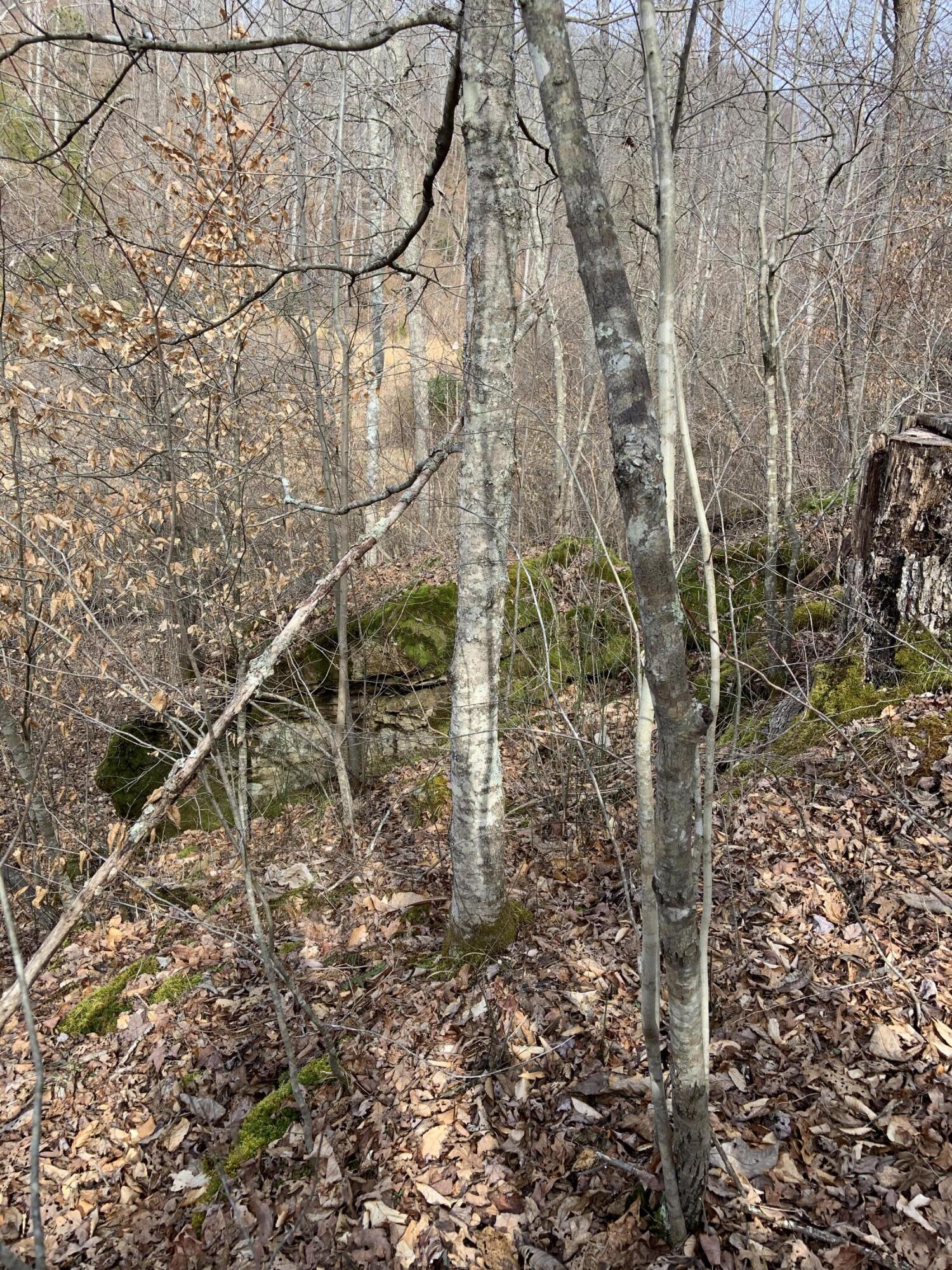 408 Hwy. 421 Property Photo 81