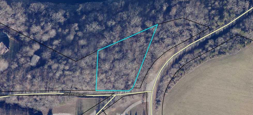 45 Shepperd Drive Property Photo 11