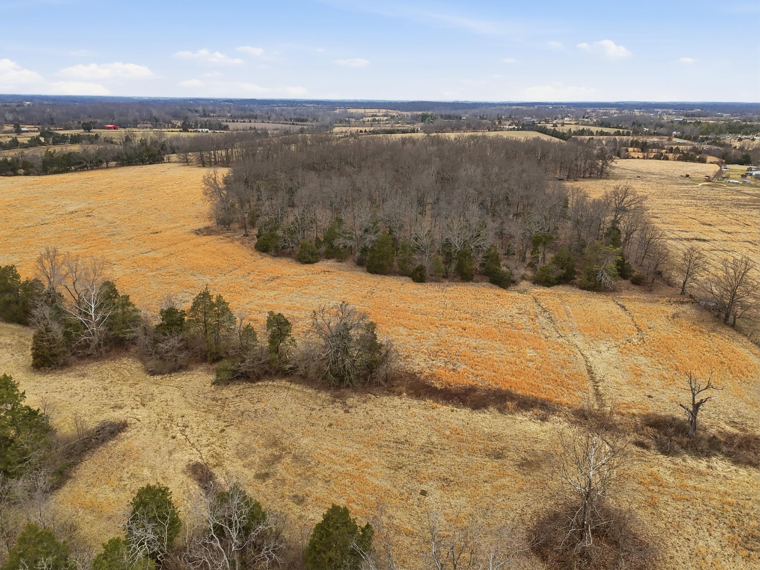 Tract 2-b Bethlehem Road Property Photo 15