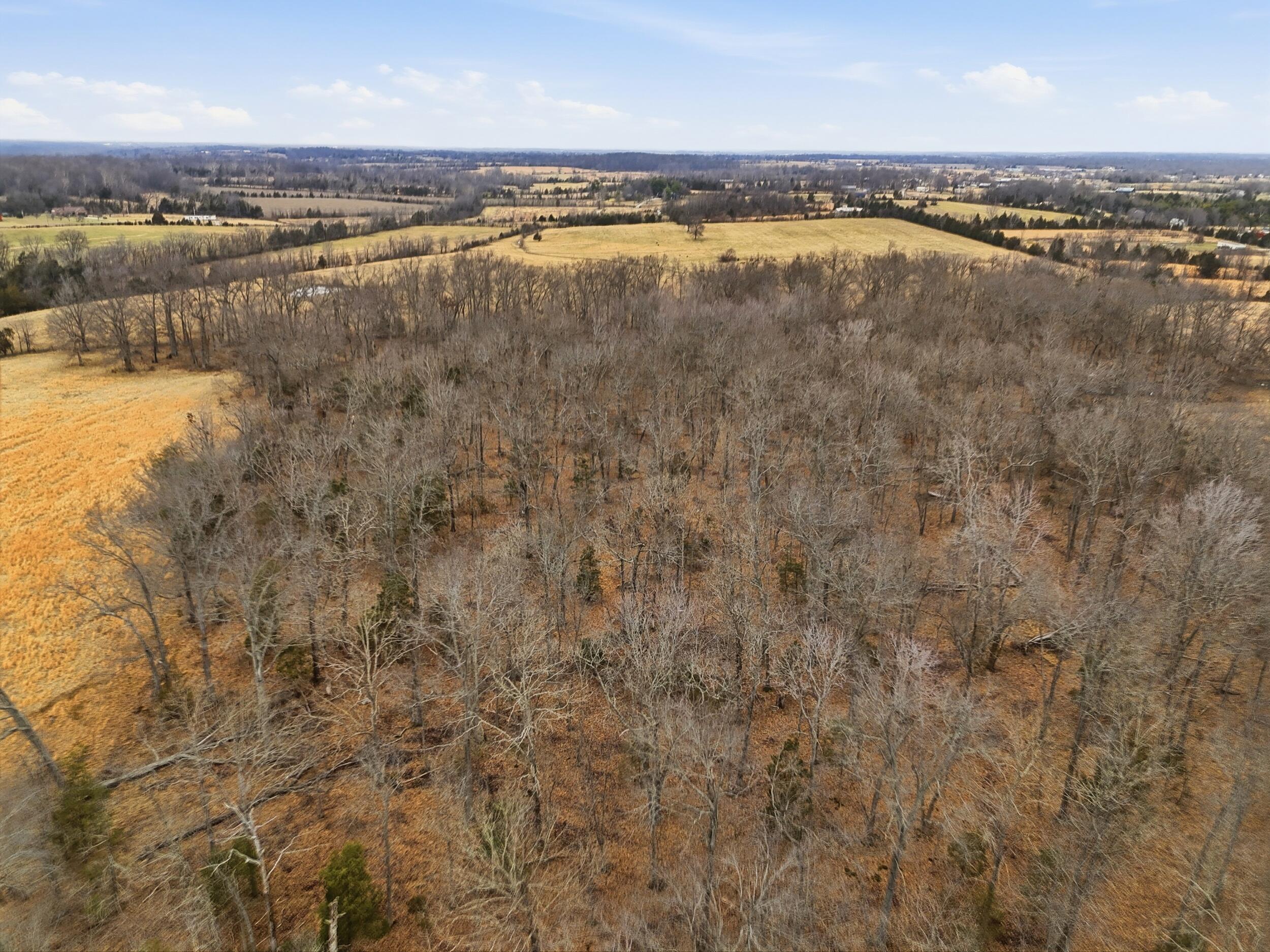 Tract 2-b Bethlehem Road Property Photo 18