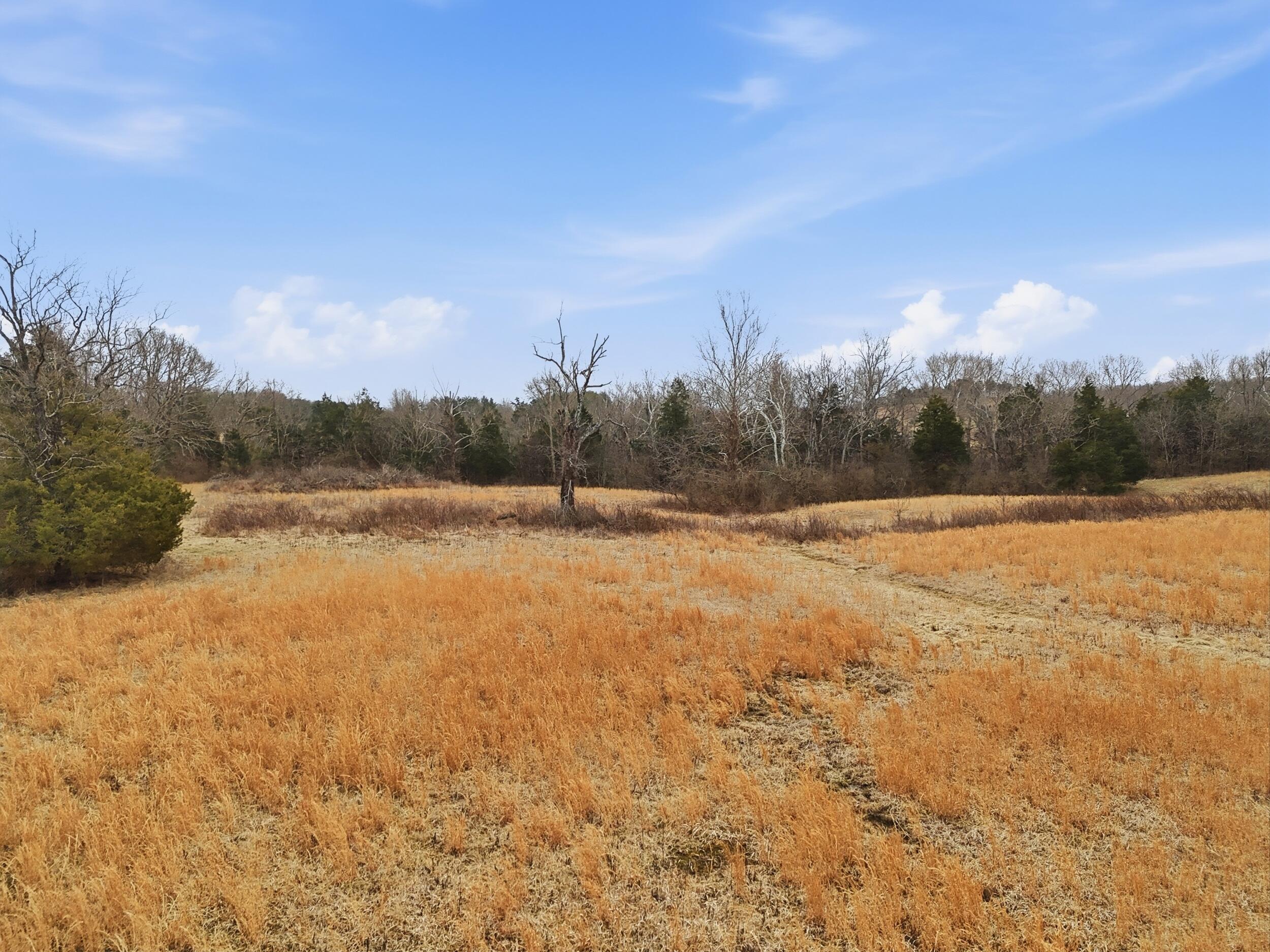 Tract 2-b Bethlehem Road Property Photo 19