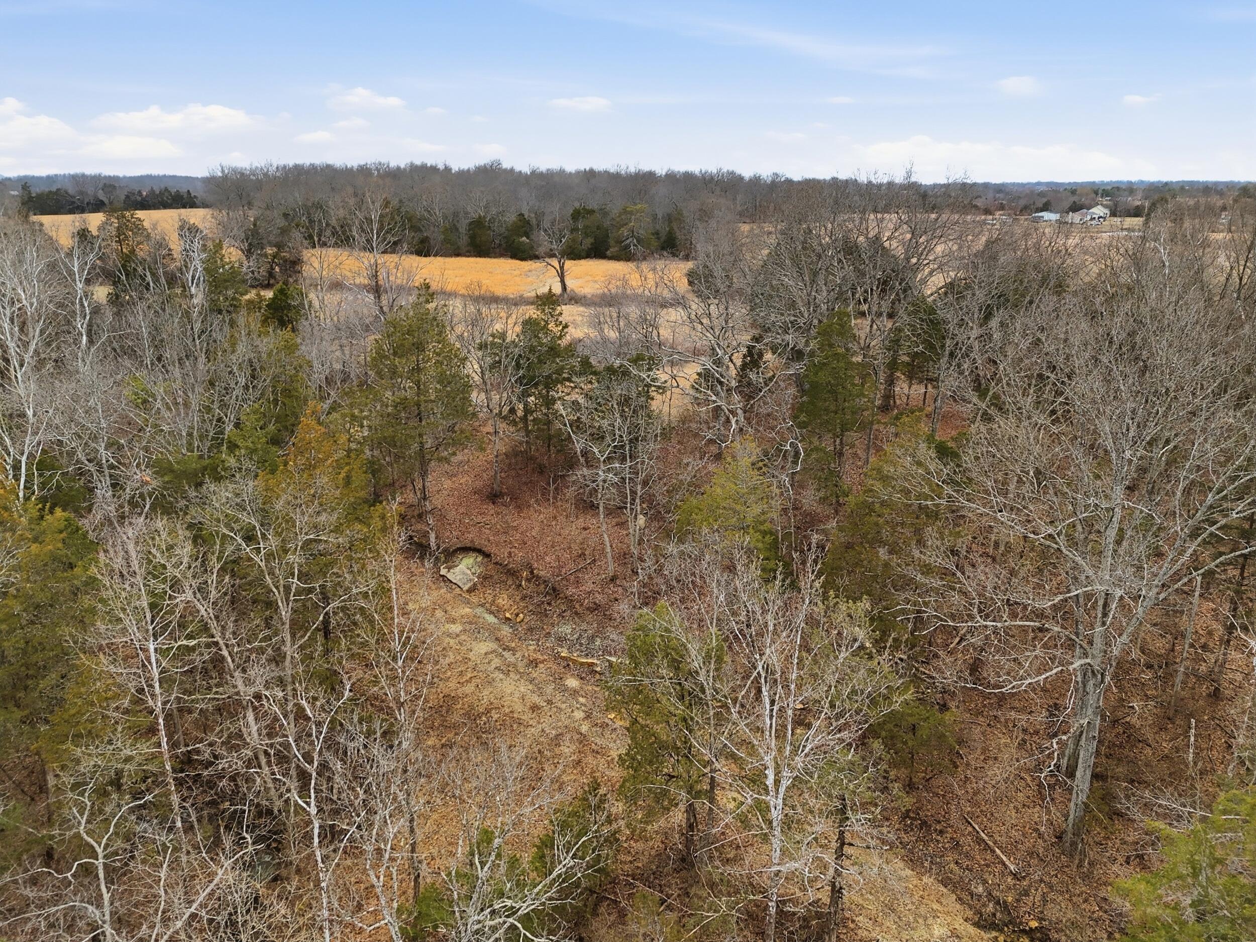 Tract 2-b Bethlehem Road Property Photo 22
