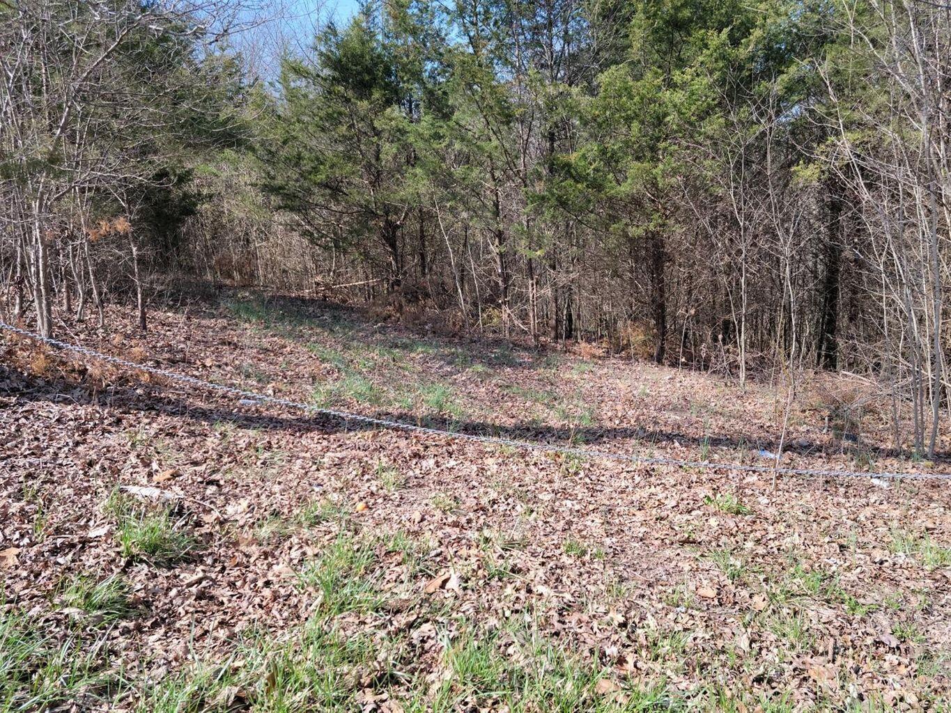 0 Union Ridge Road Property Photo 1