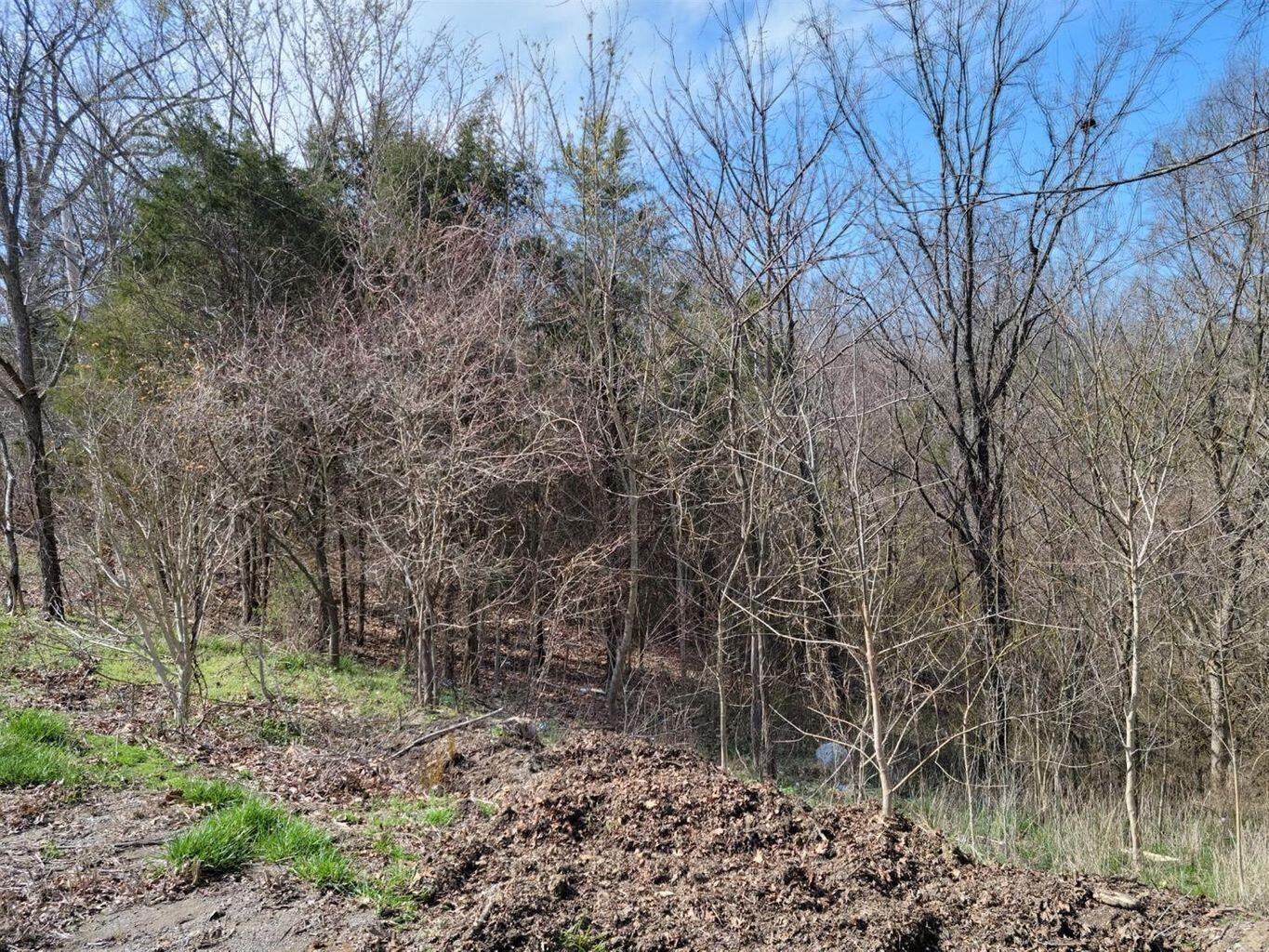 0 Union Ridge Road Property Photo 3