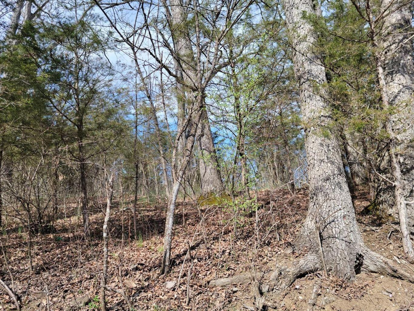 0 Union Ridge Road Property Photo 4