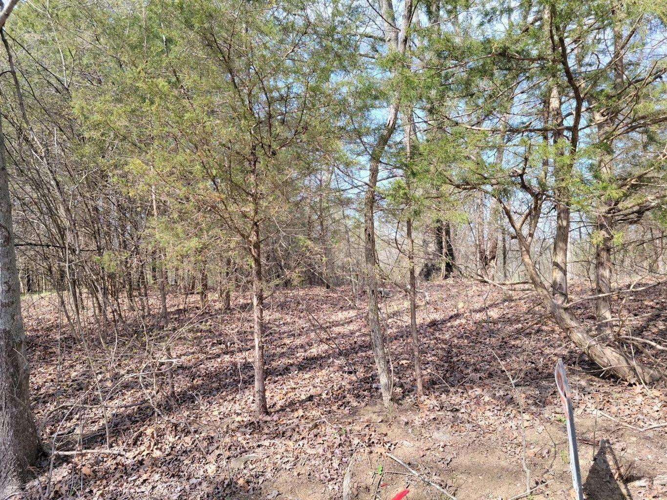 0 Union Ridge Road Property Photo 5