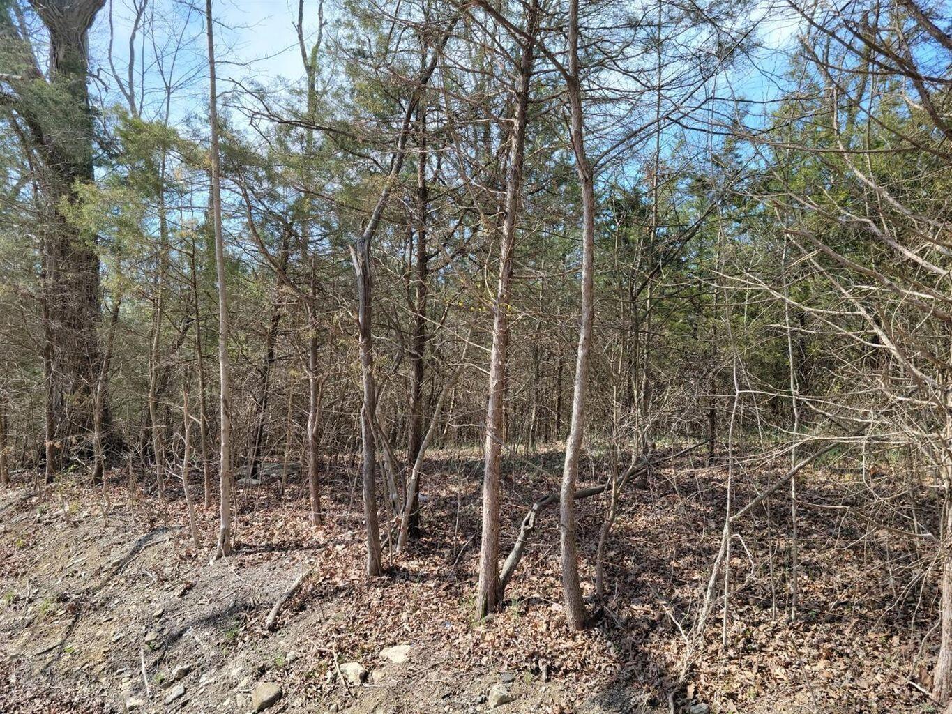 0 Union Ridge Road Property Photo 6